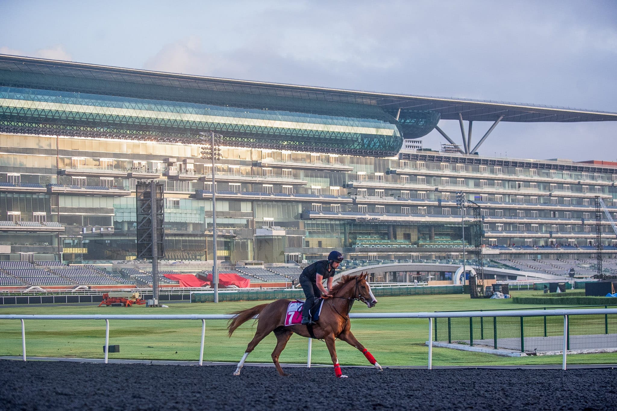 Meydan, Trackwork, King Rubi — Beach & Trackwork photograph by Sharon Lee Chapman