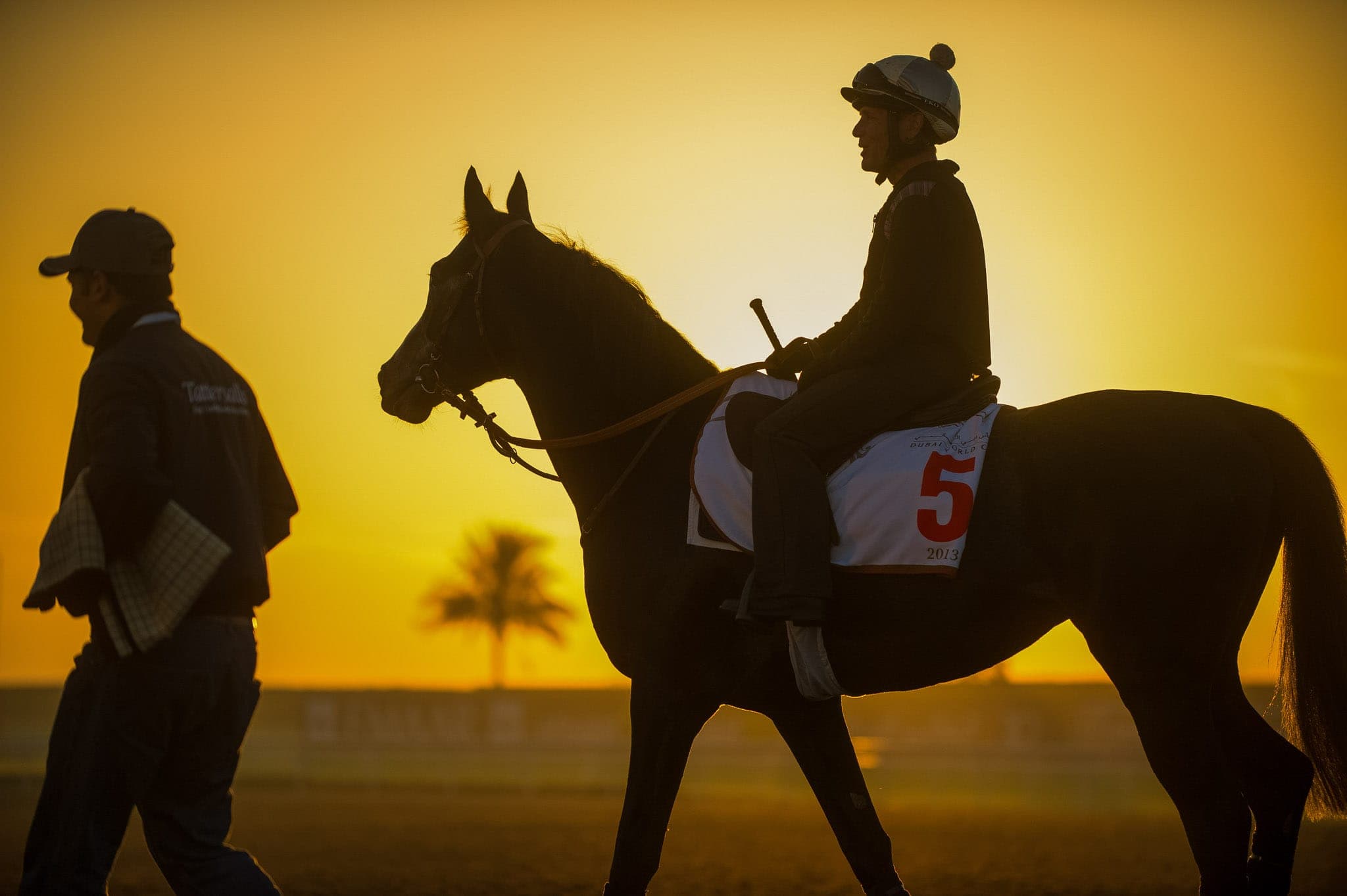Meydan, Trackwork, Meandre — Beach & Trackwork photograph by Sharon Lee Chapman