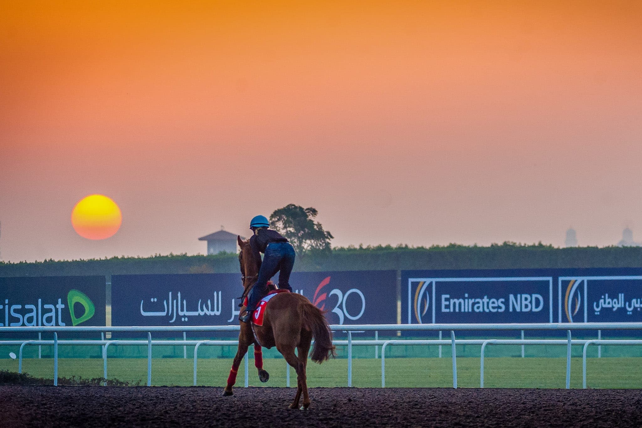 Meydan Trackwork, Seismos — Beach & Trackwork photograph by Sharon Lee Chapman