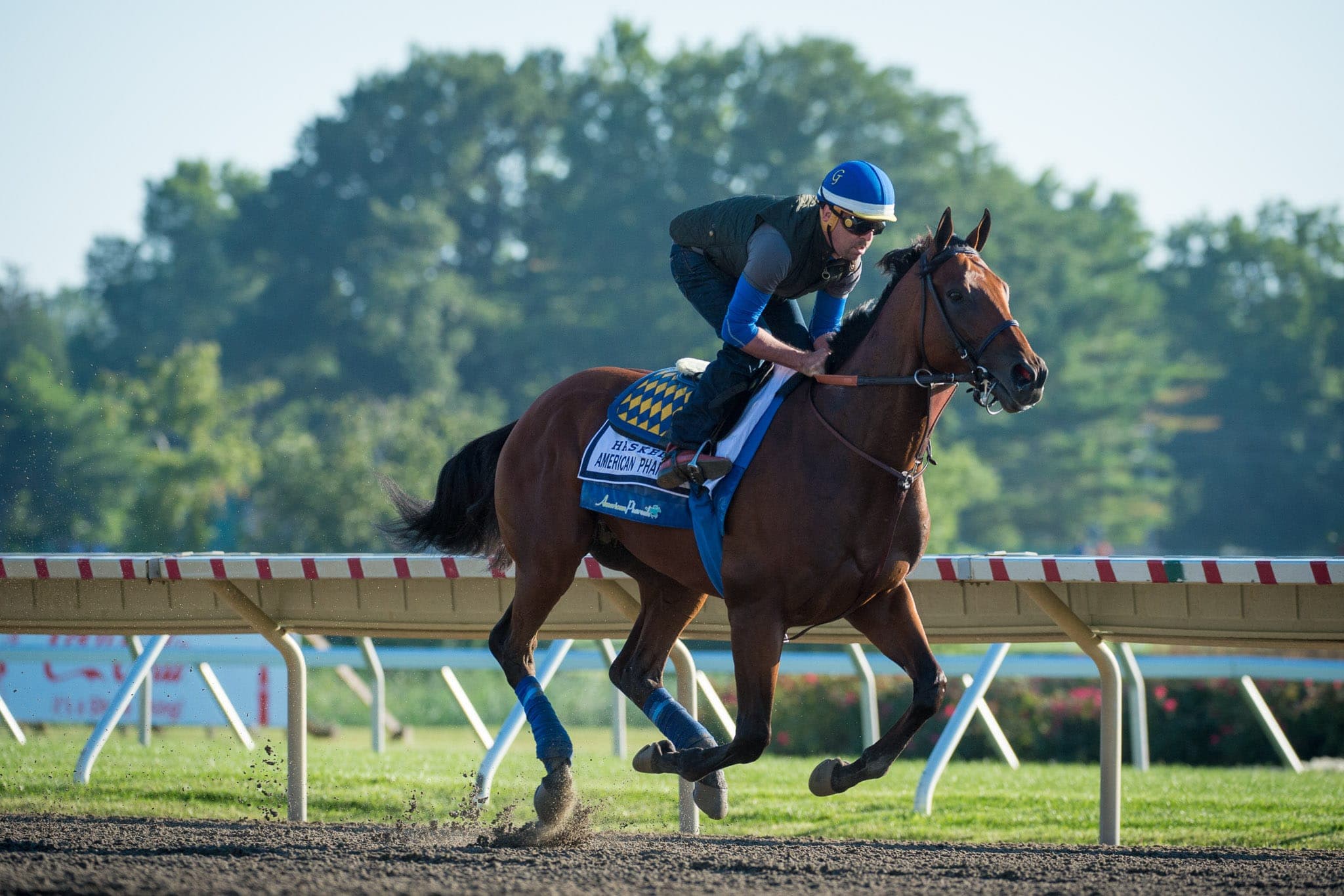 Monmouth Park, American Pharoah — Beach & Trackwork photograph by Sharon Lee Chapman