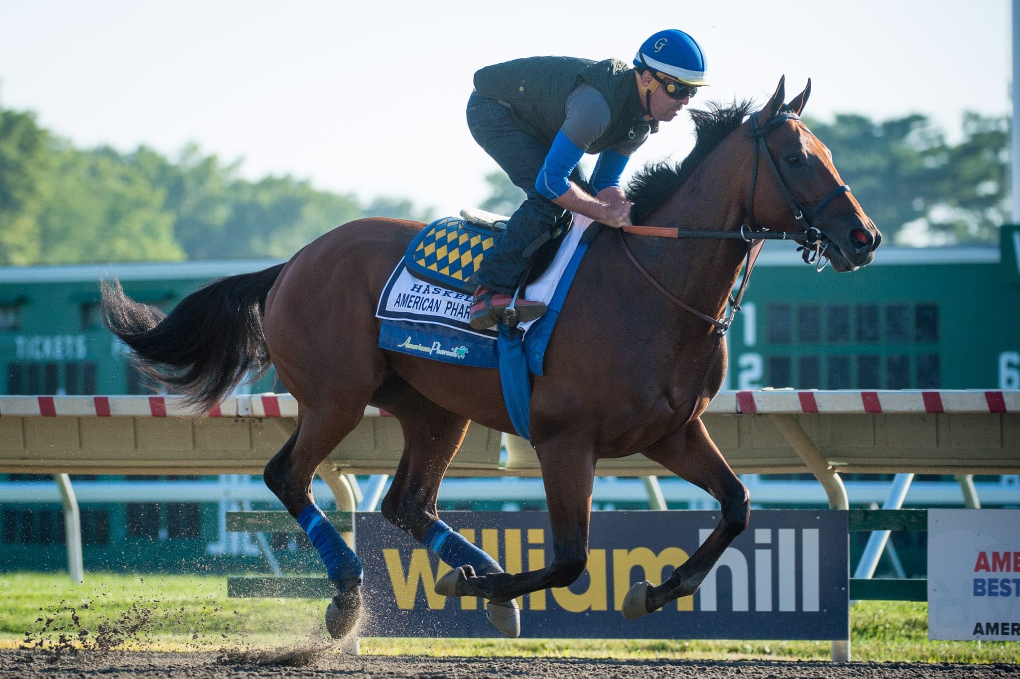 Monmouth Park, American Pharoah — Beach & Trackwork photograph by Sharon Lee Chapman