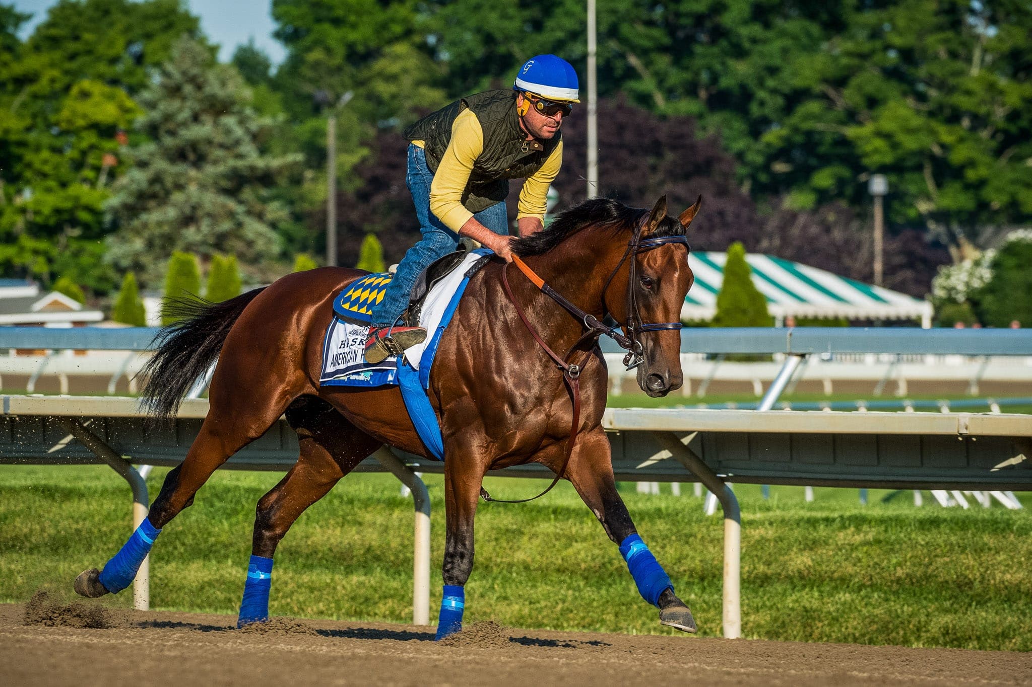 Monmouth Park, American Pharoah — Beach & Trackwork photograph by Sharon Lee Chapman