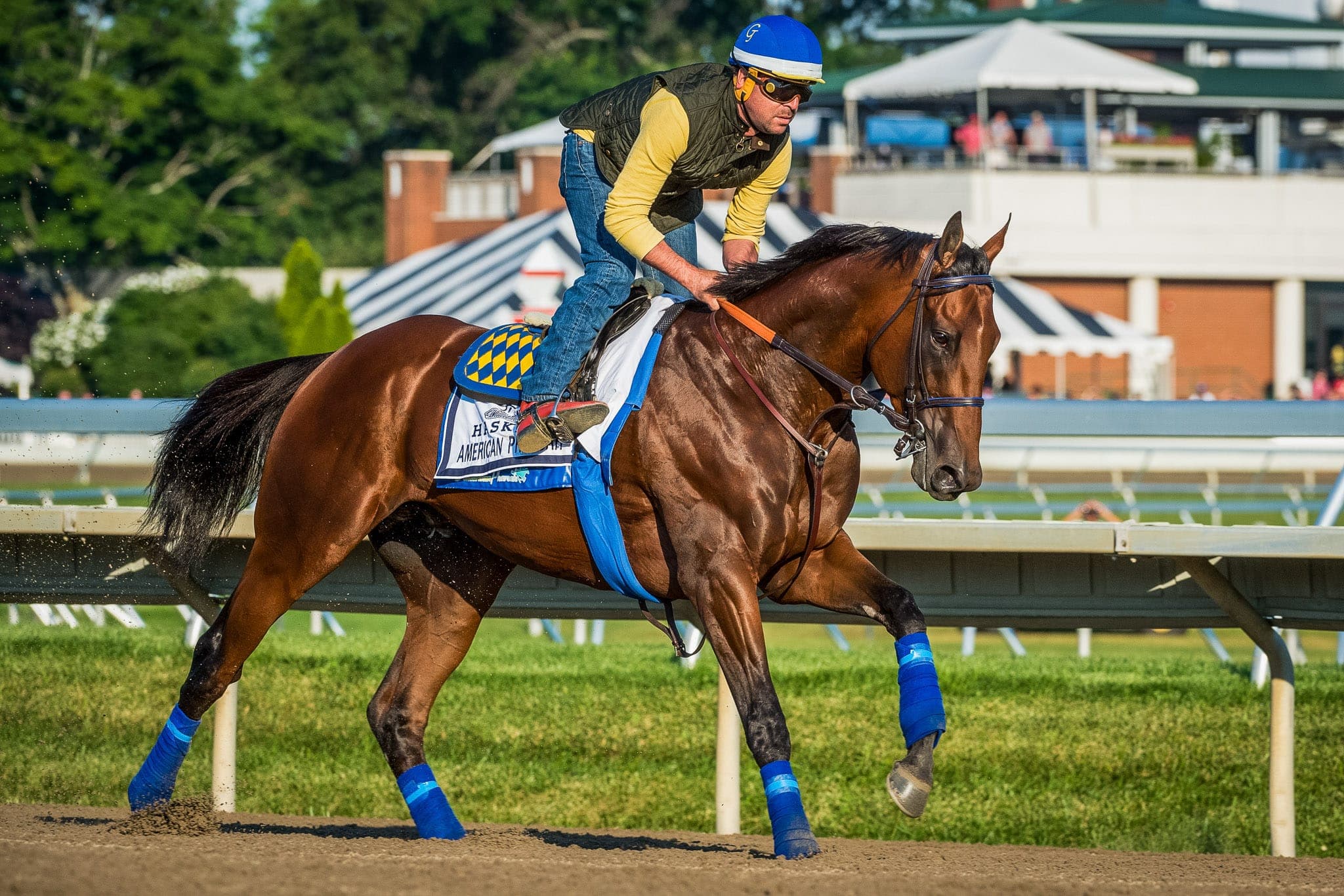 Monmouth Park, American Pharoah — Beach & Trackwork photograph by Sharon Lee Chapman
