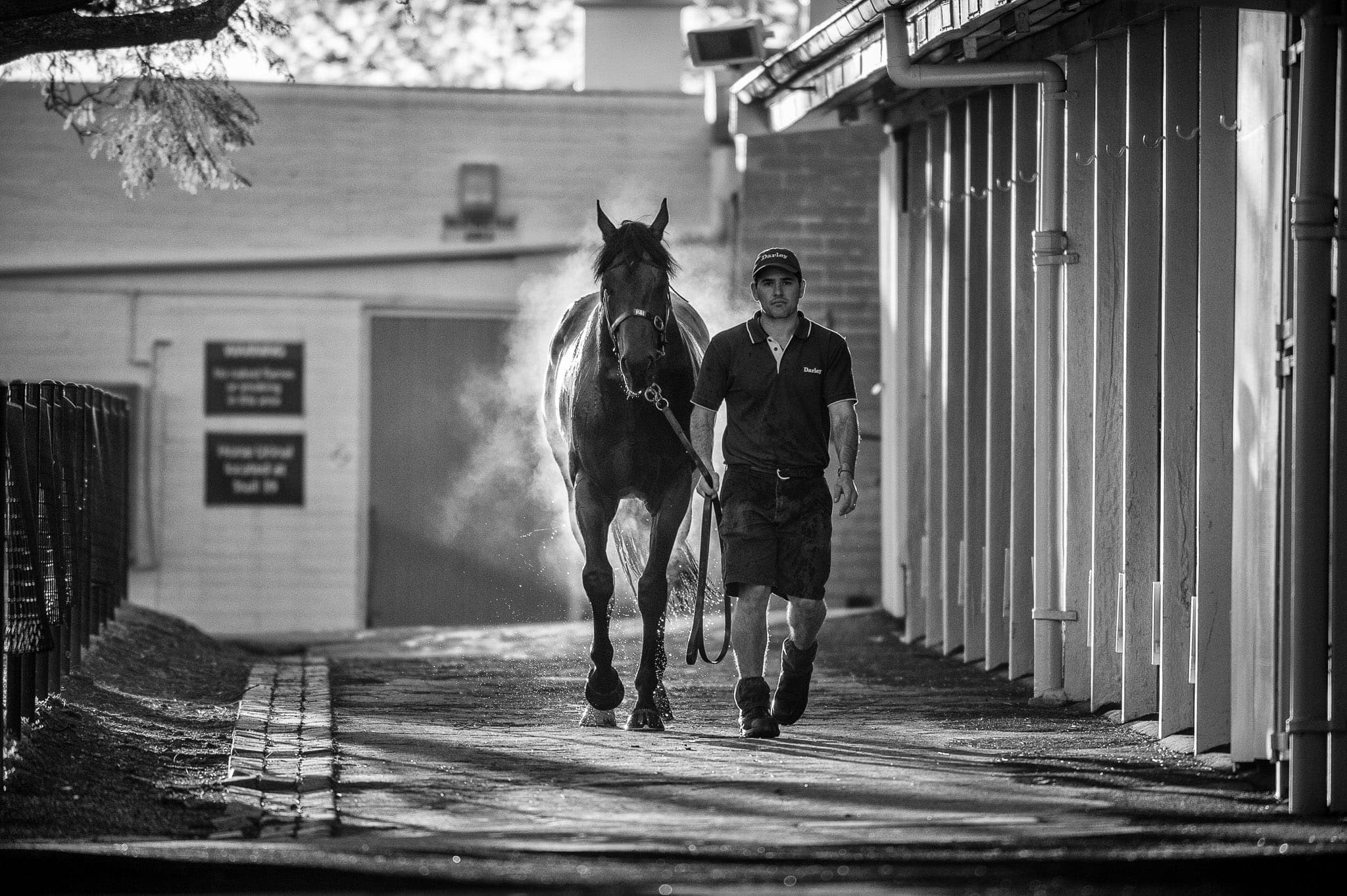Moonee Valley, Trackwork, Epaulette — Beach & Trackwork photograph by Sharon Lee Chapman