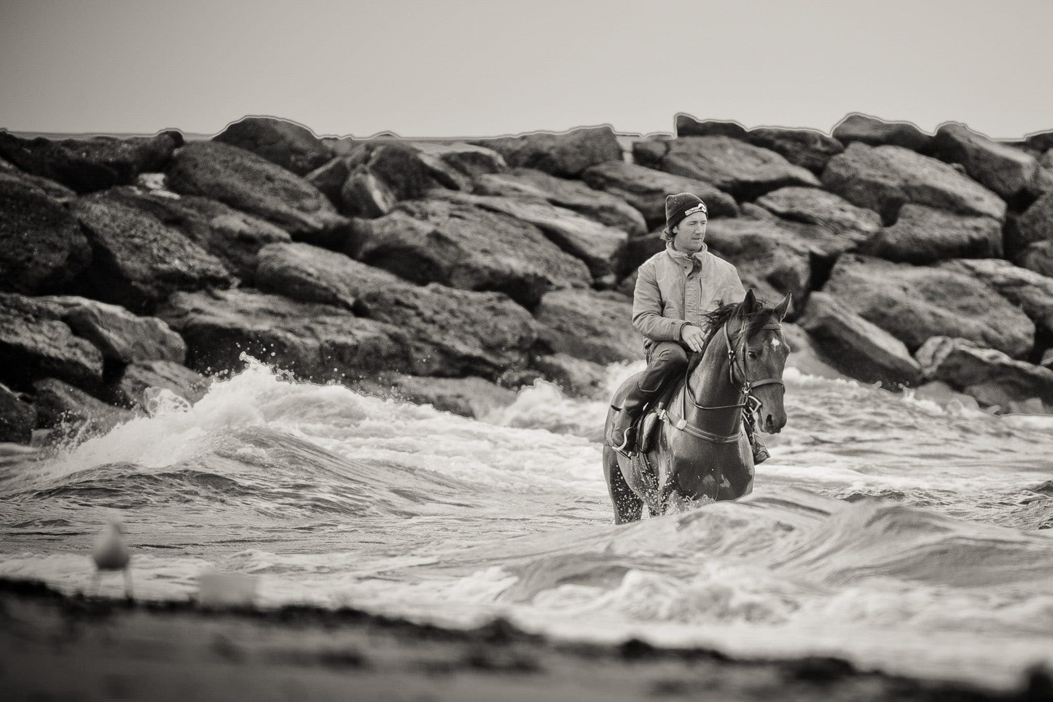 Mr O'Cierin, Beach, Ciaron Maher — Beach & Trackwork photograph by Sharon Lee Chapman