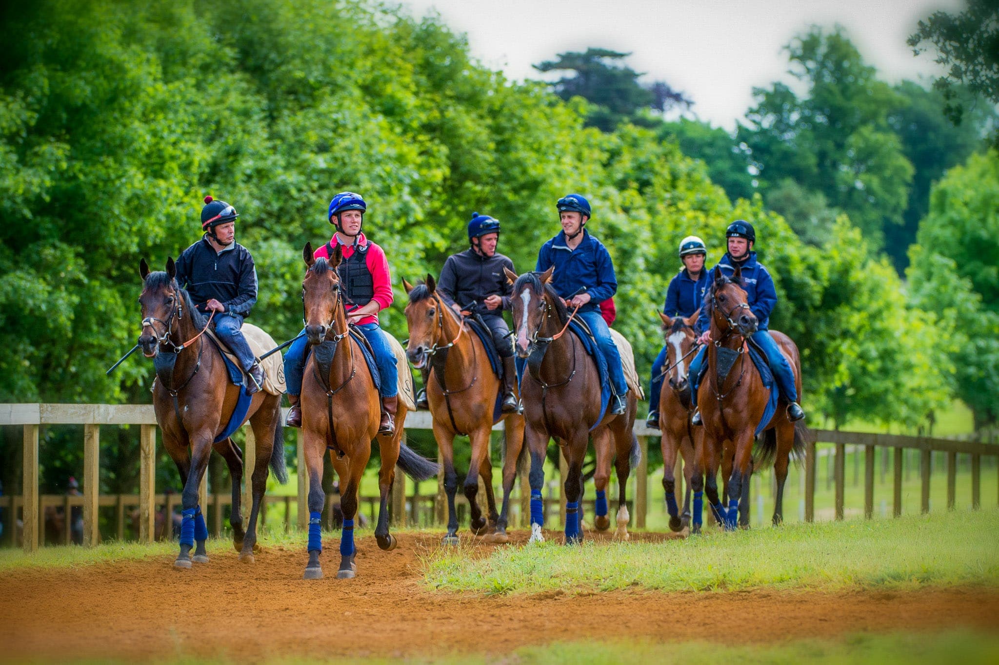 Newmarket, Trackwork — Beach & Trackwork photograph by Sharon Lee Chapman