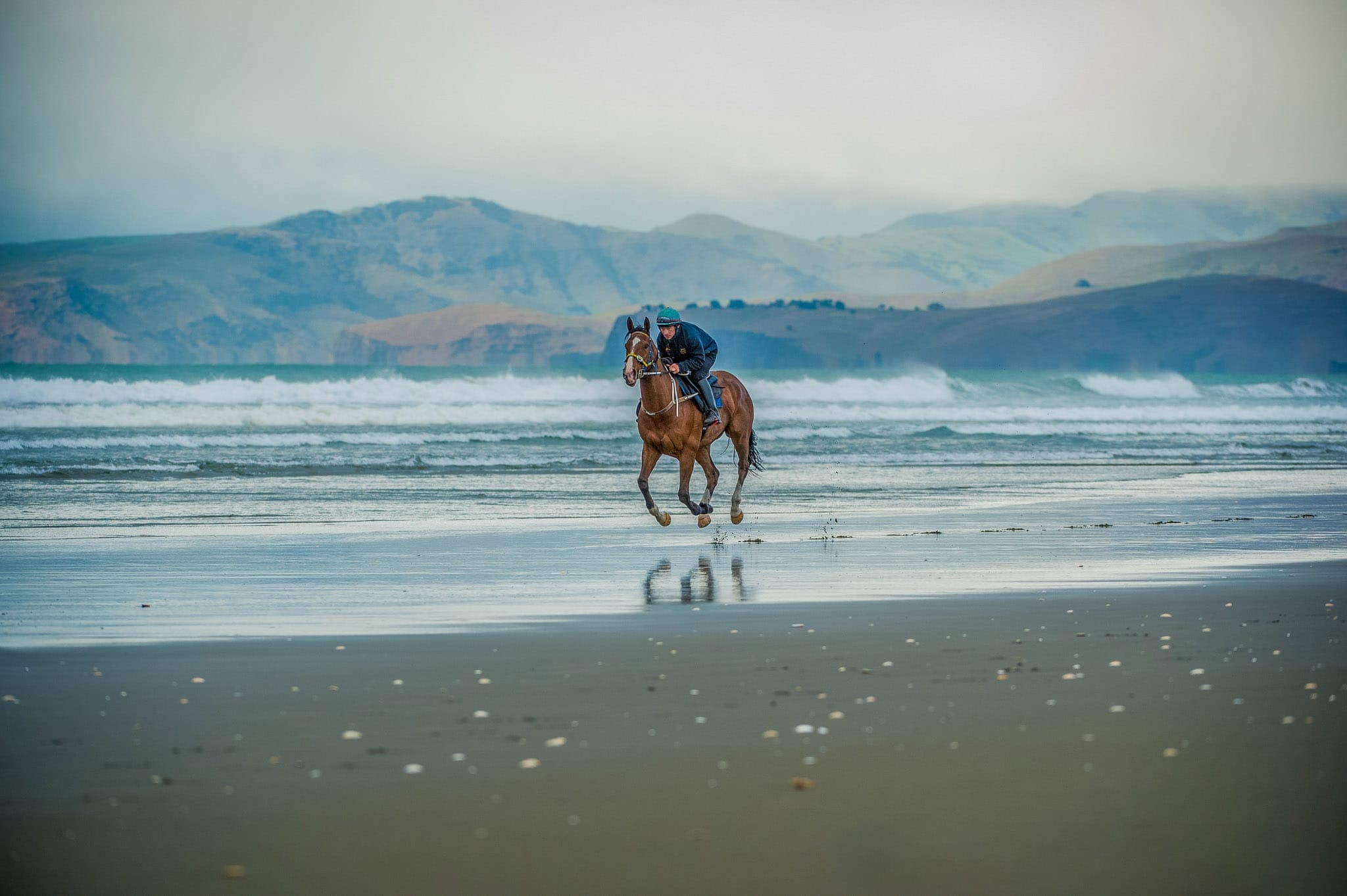 NZ Racing, Beach, Stanley Park Beach — Beach & Trackwork photograph by Sharon Lee Chapman
