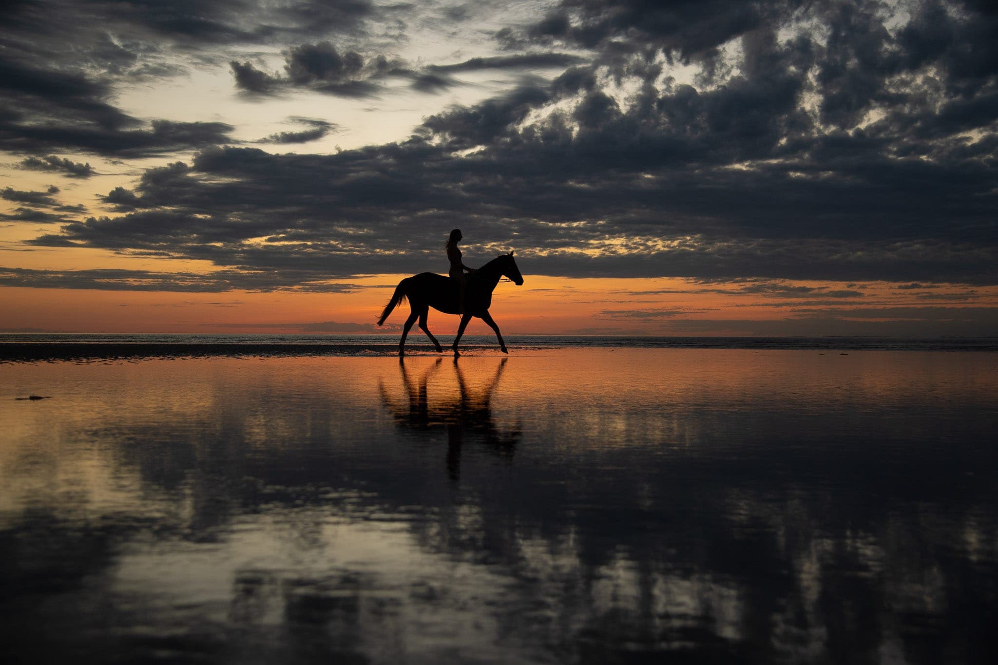 Pilbara Equestrian, Kate, Beach, Sunrise, Hearsons Cove — Beach & Trackwork photograph by Sharon Lee Chapman