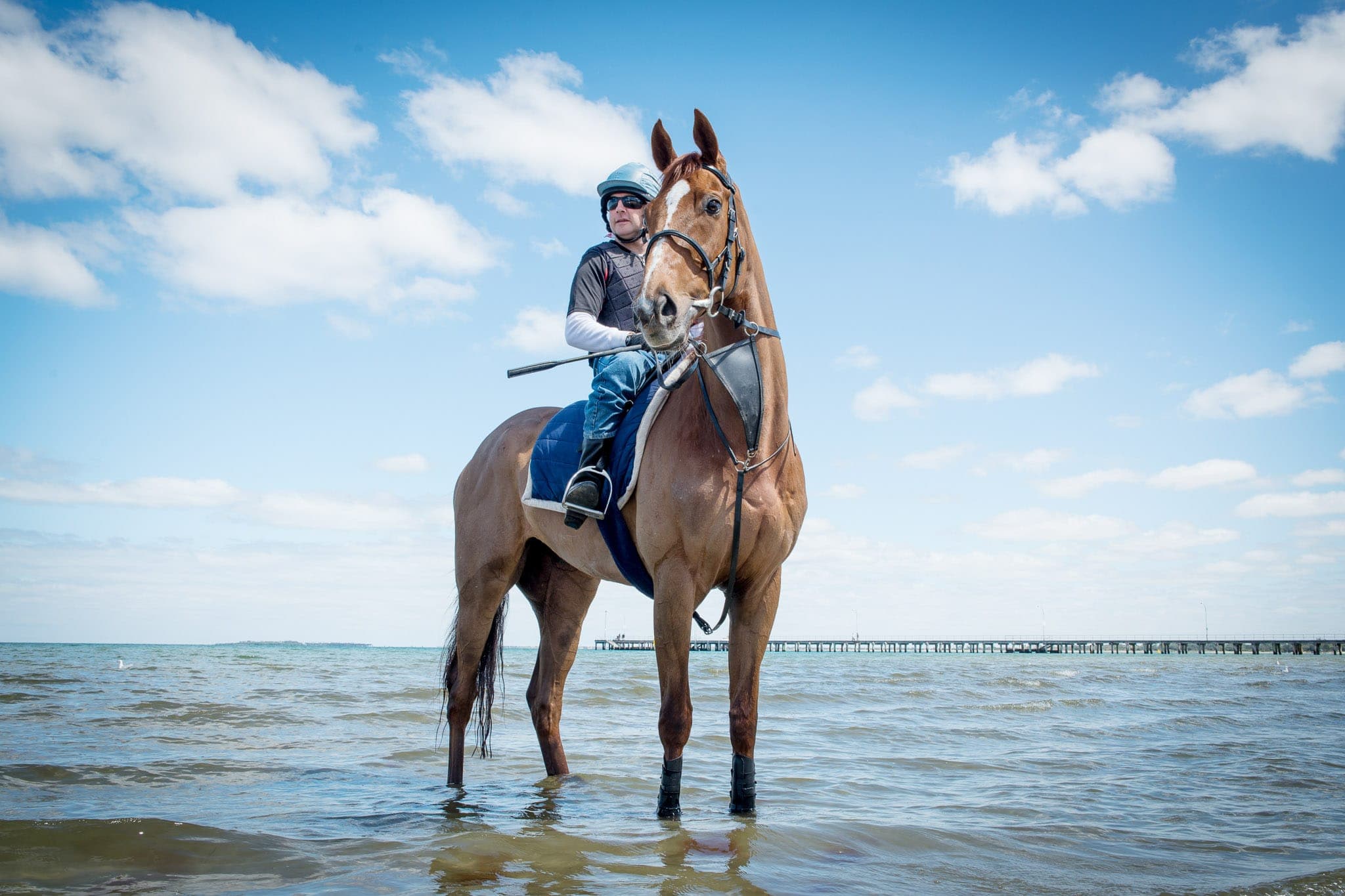 Red Cadeaux, Altona — Beach & Trackwork photograph by Sharon Lee Chapman