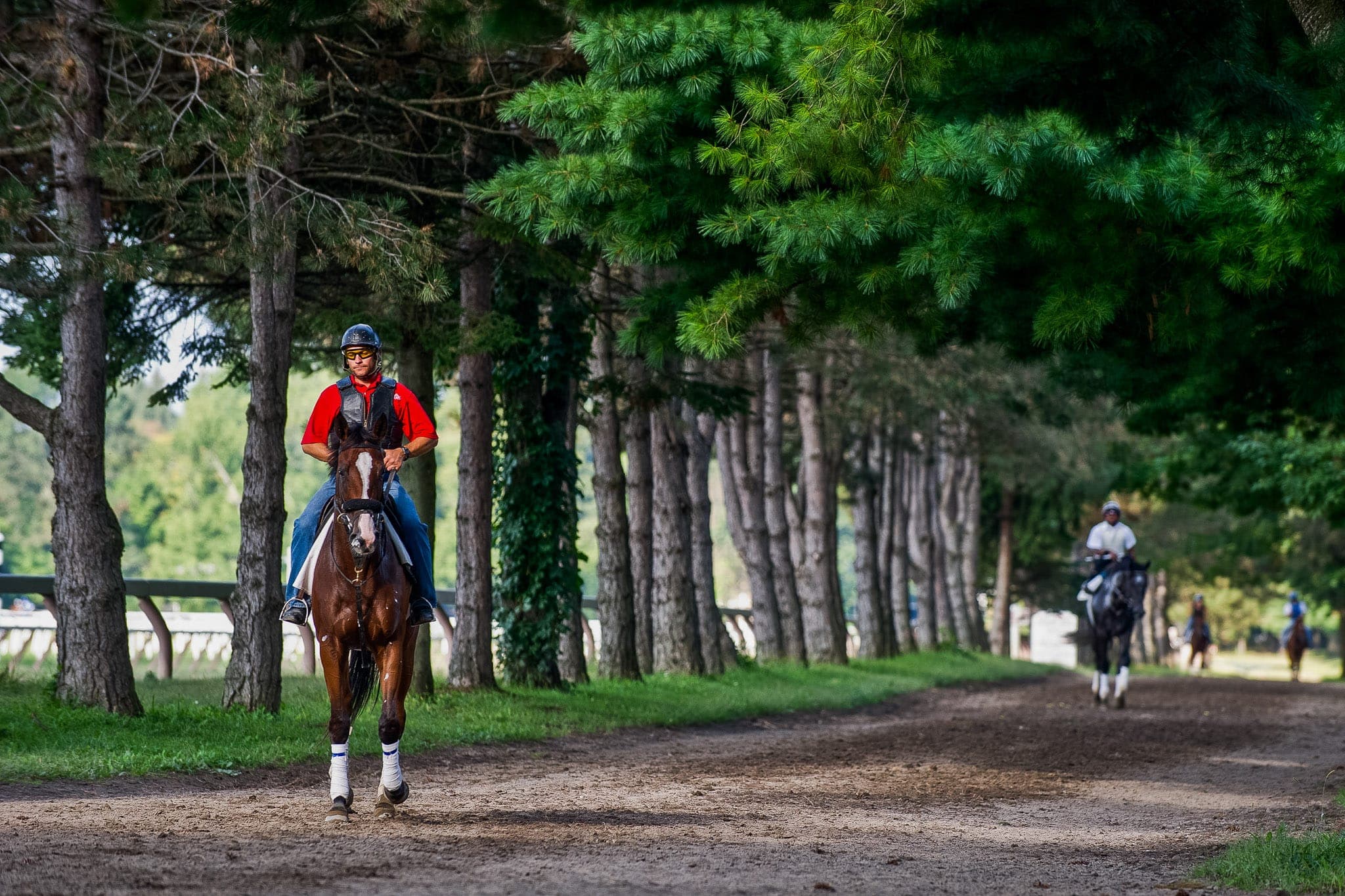 Saratoga, Trackwork — Beach & Trackwork photograph by Sharon Lee Chapman