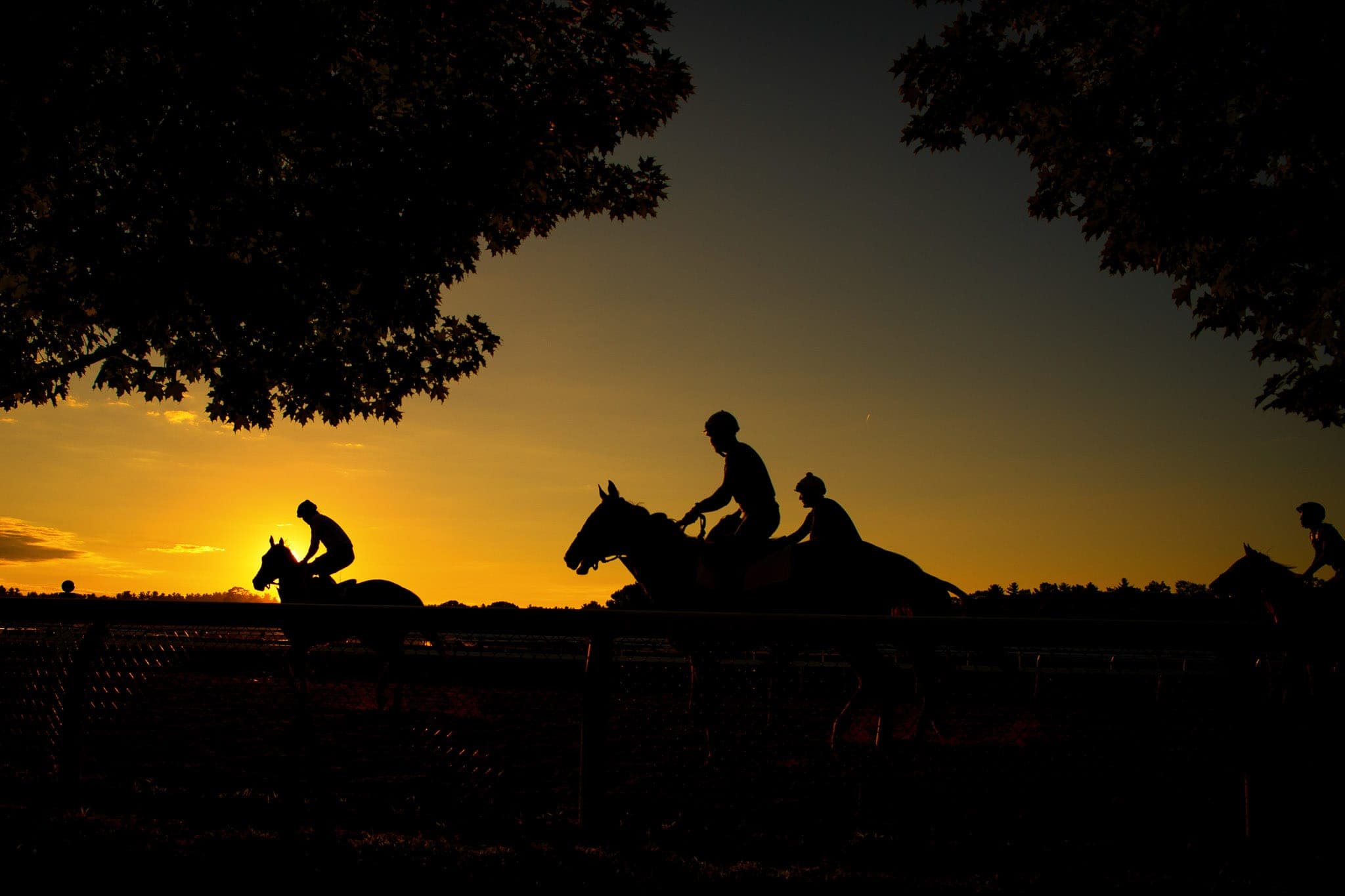 Saratoga, Trackwork, Sunrise — Beach & Trackwork photograph by Sharon Lee Chapman