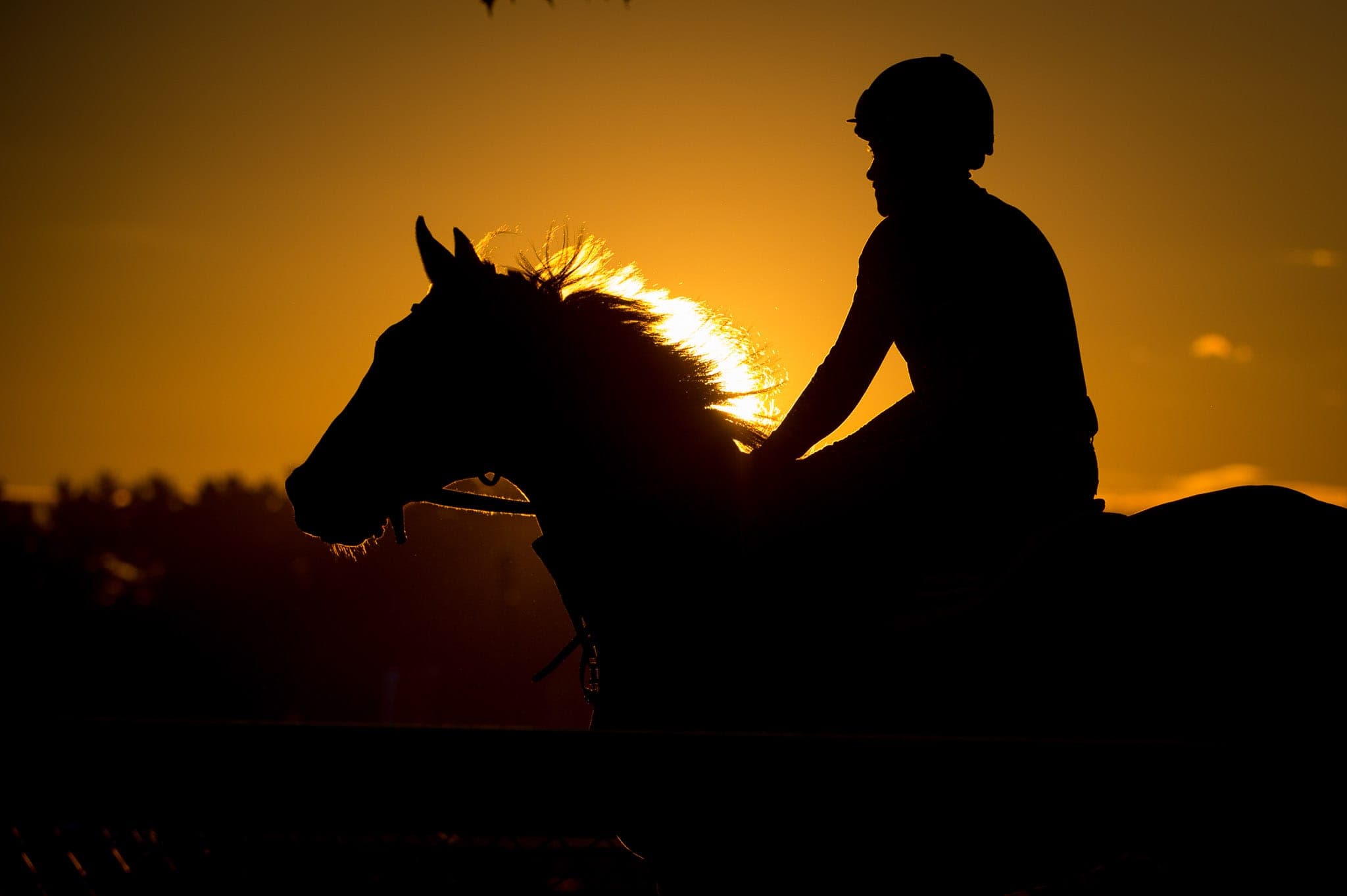 Saratoga, Trackwork, Sunrise — Beach & Trackwork photograph by Sharon Lee Chapman