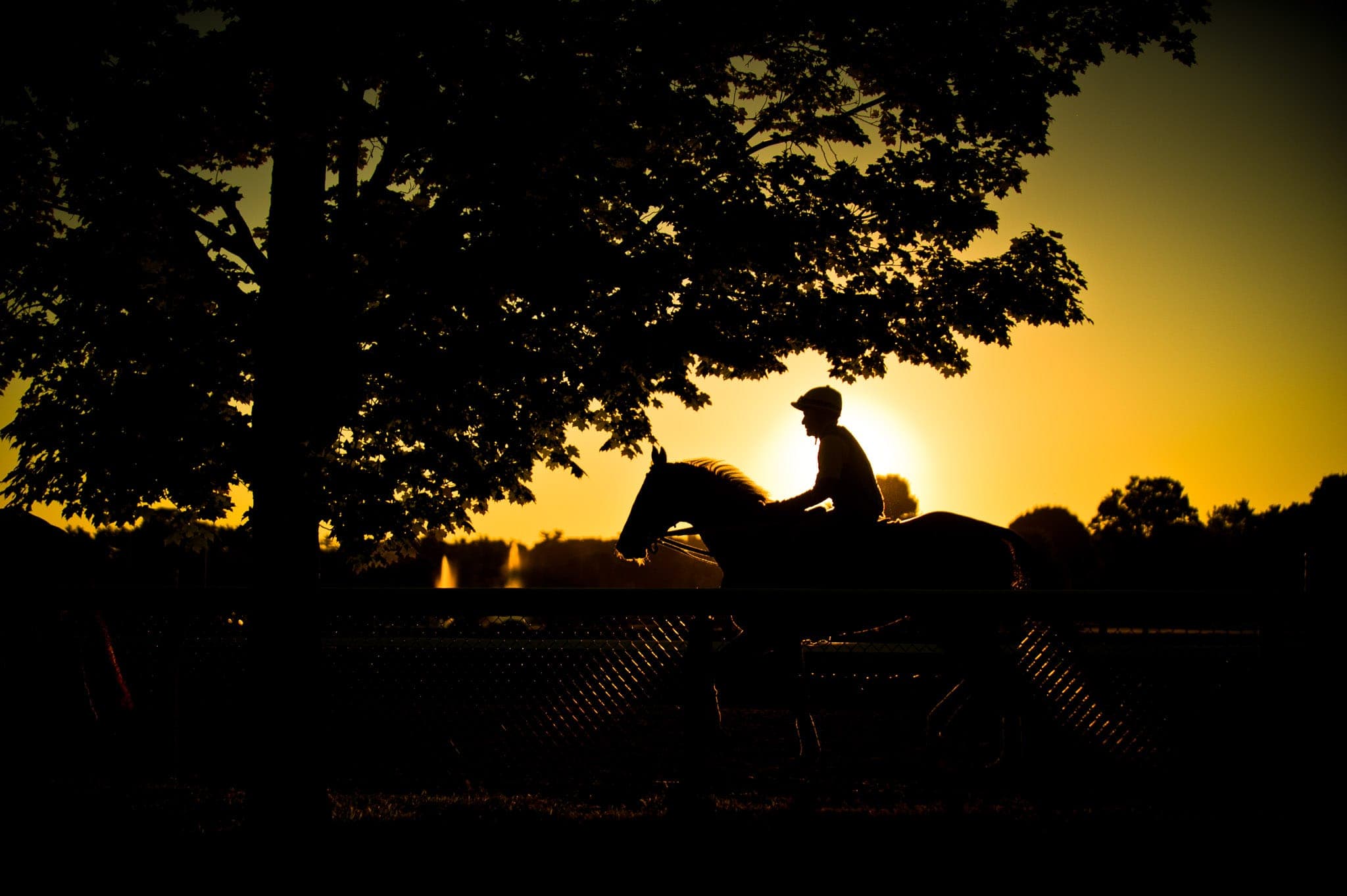 Saratoga, Trackwork, Sunrise — Beach & Trackwork photograph by Sharon Lee Chapman