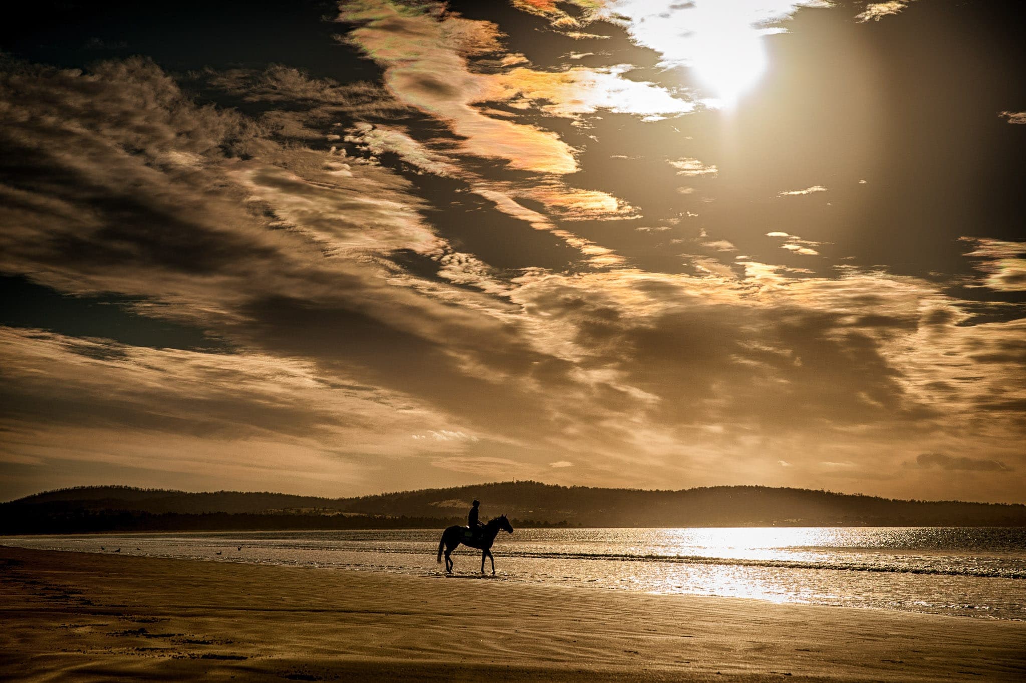 Seven Mile Beach, Rodin's Doll — Beach & Trackwork photograph by Sharon Lee Chapman