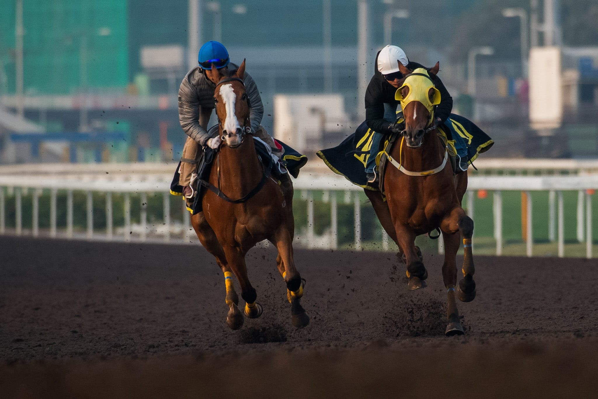 Sha Tin, Trackwork — Beach & Trackwork photograph by Sharon Lee Chapman
