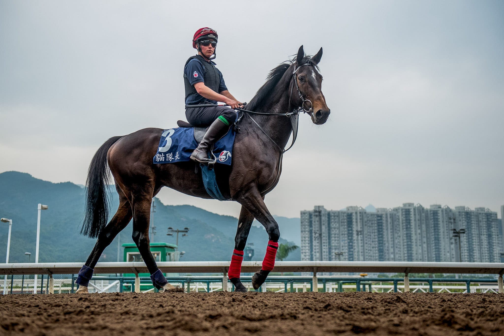 Sha Tin, Trackwork, Captain Cat — Beach & Trackwork photograph by Sharon Lee Chapman