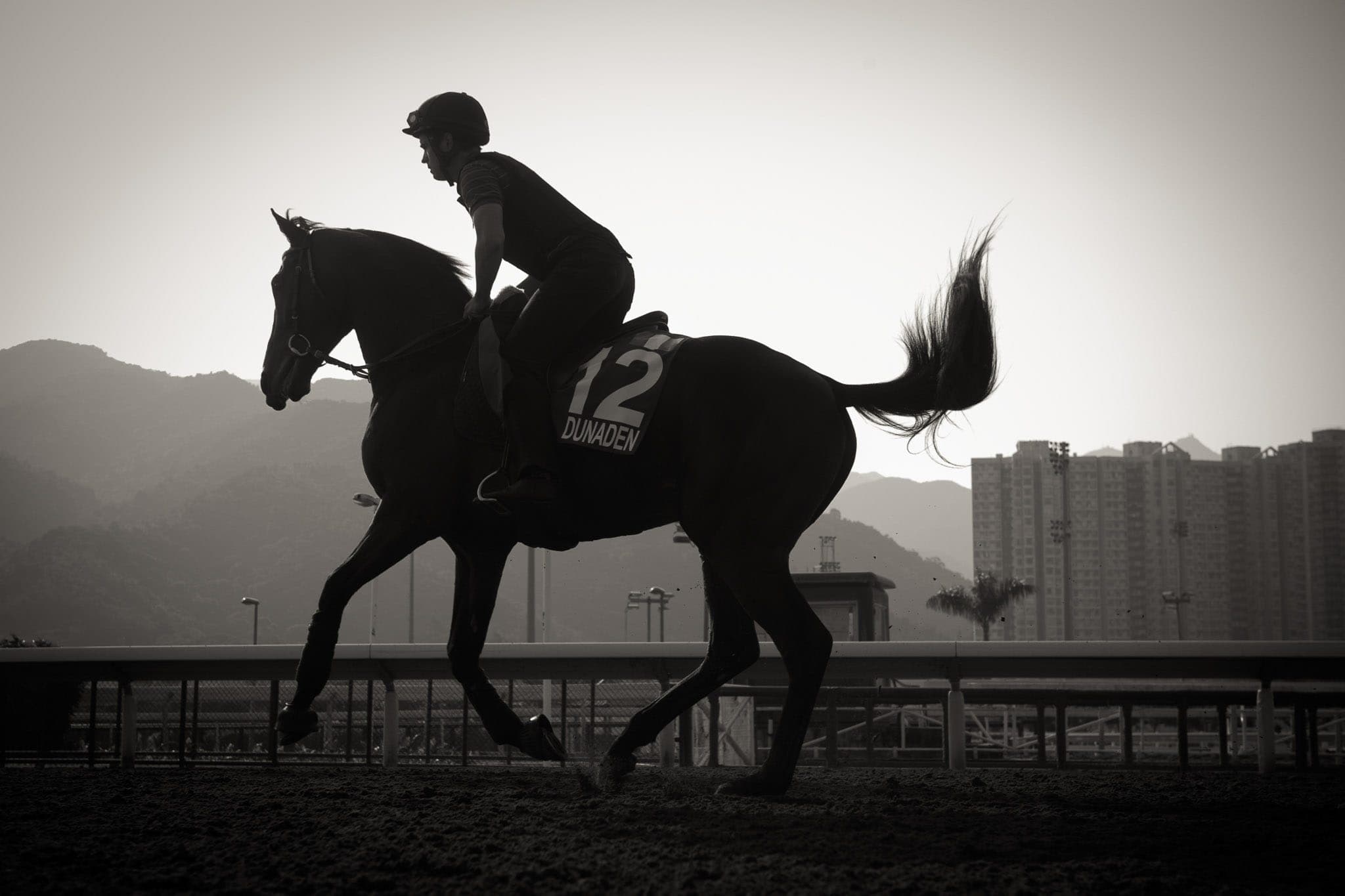 Sha Tin Trackwork, Dunaden — Beach & Trackwork photograph by Sharon Lee Chapman