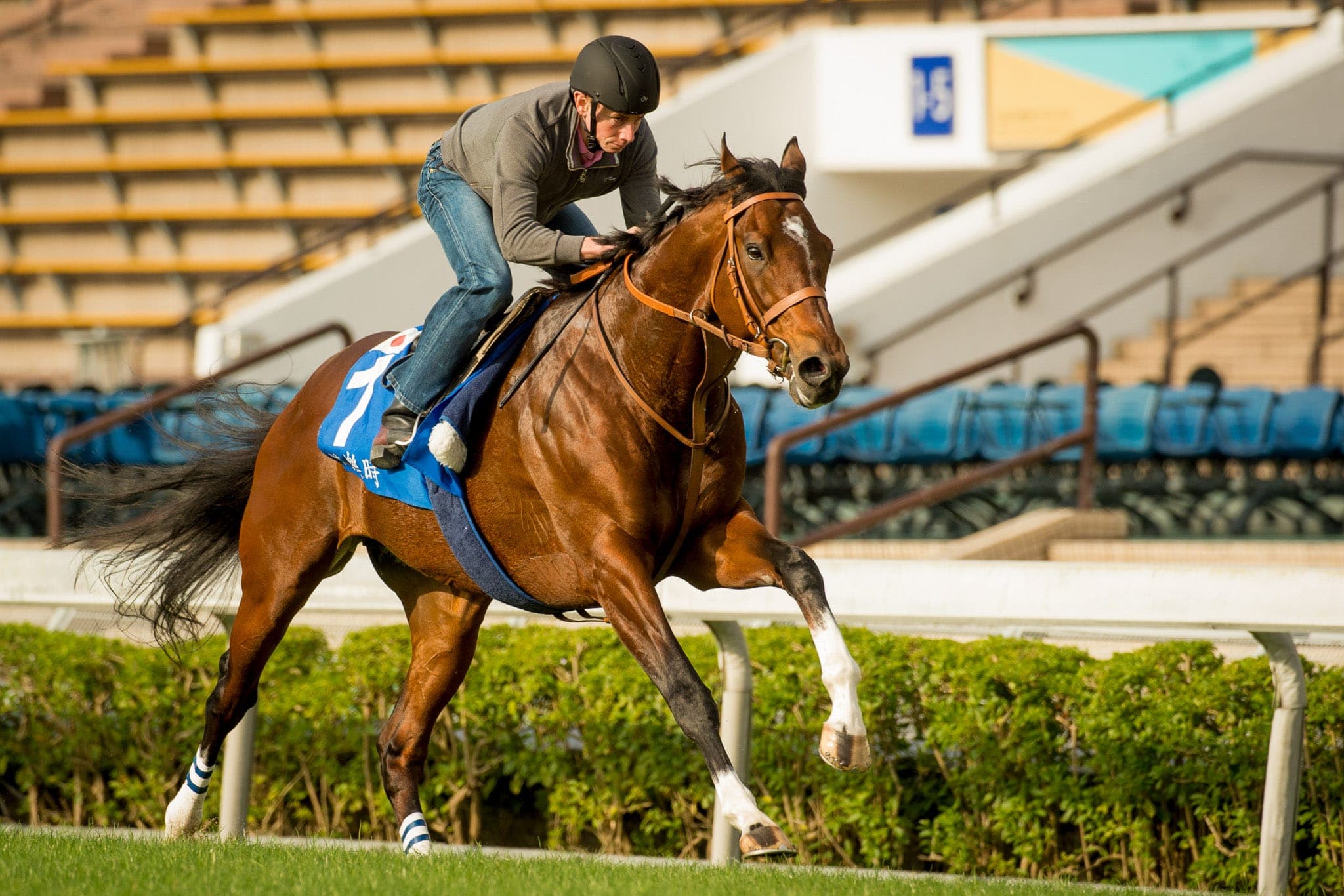 Sha Tin, Trackwork, Maurice — Beach & Trackwork photograph by Sharon Lee Chapman
