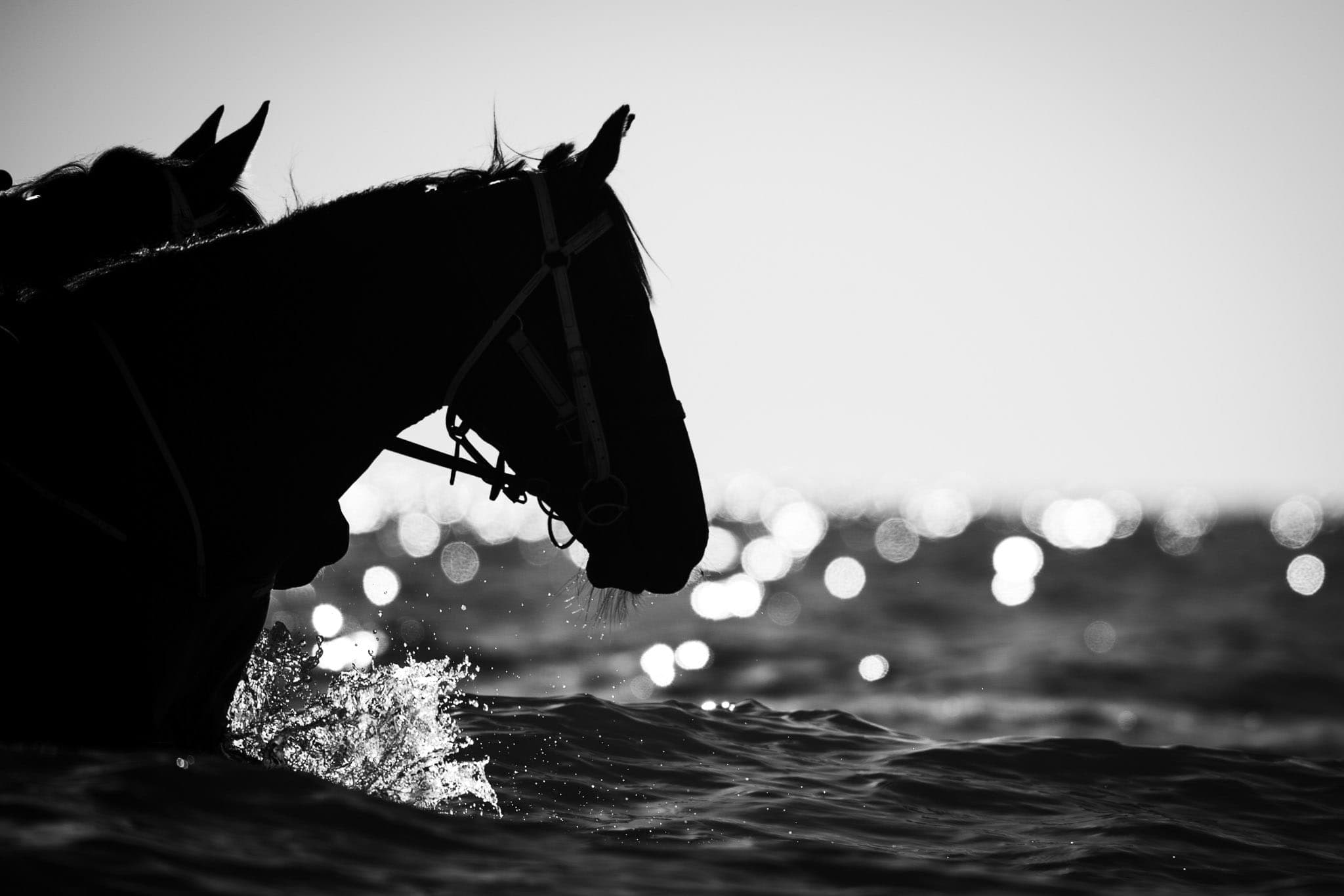 St Leonards Beach, Henry Dwyer — Beach & Trackwork photograph by Sharon Lee Chapman