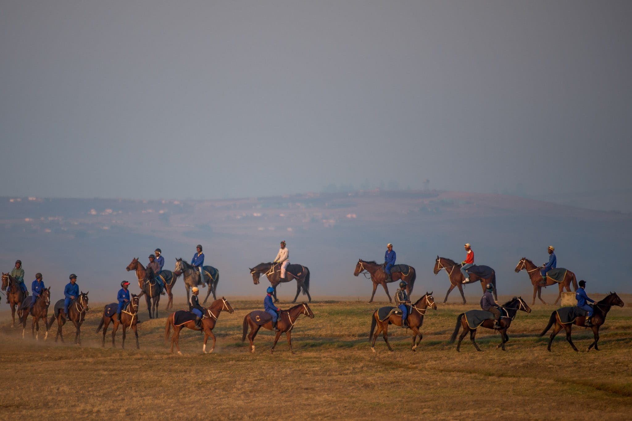 Summerveld, Trackwork, South Africa — Beach & Trackwork photograph by Sharon Lee Chapman
