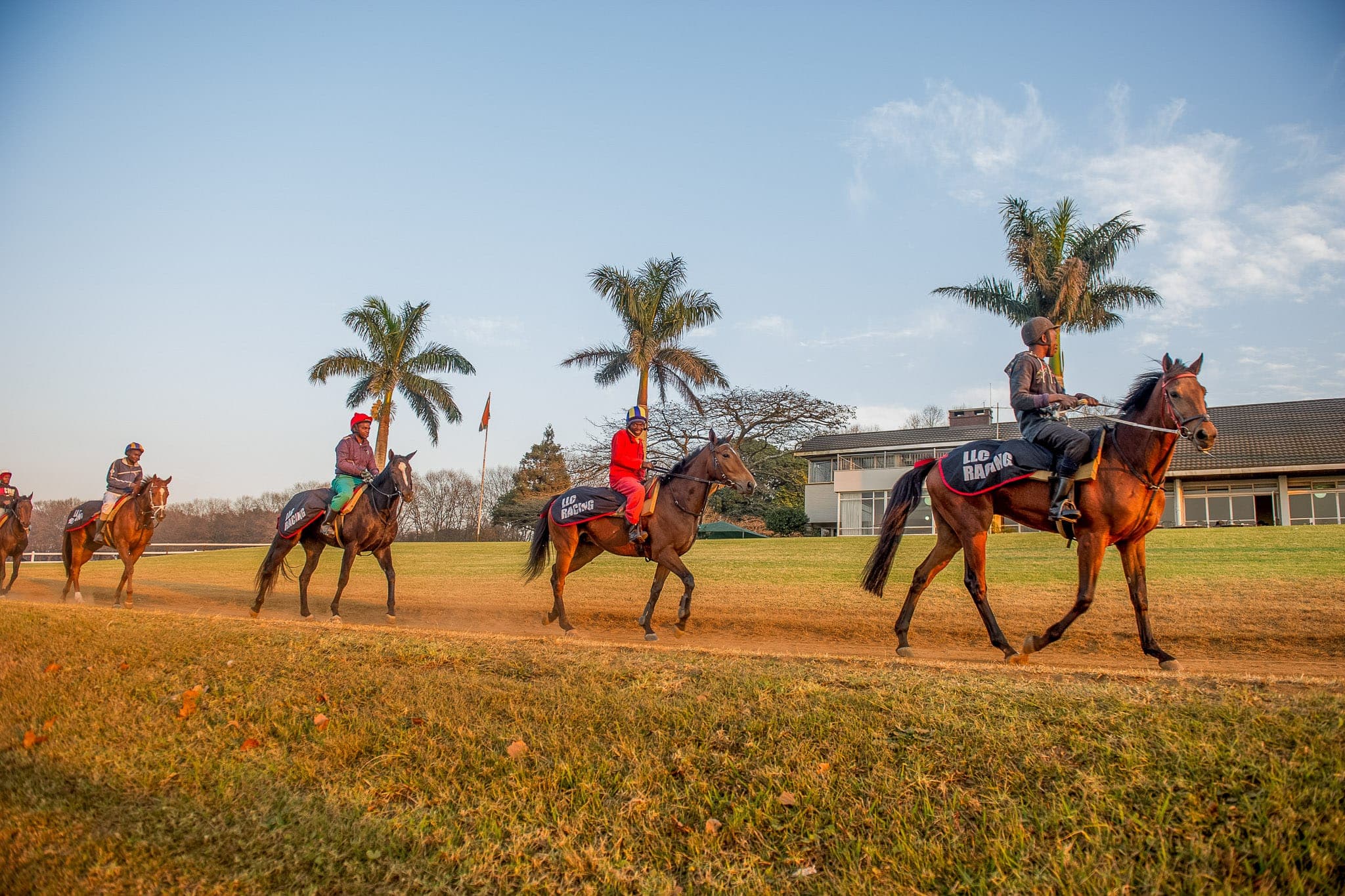 Summerveld, Trackwork, South Africa — Beach & Trackwork photograph by Sharon Lee Chapman