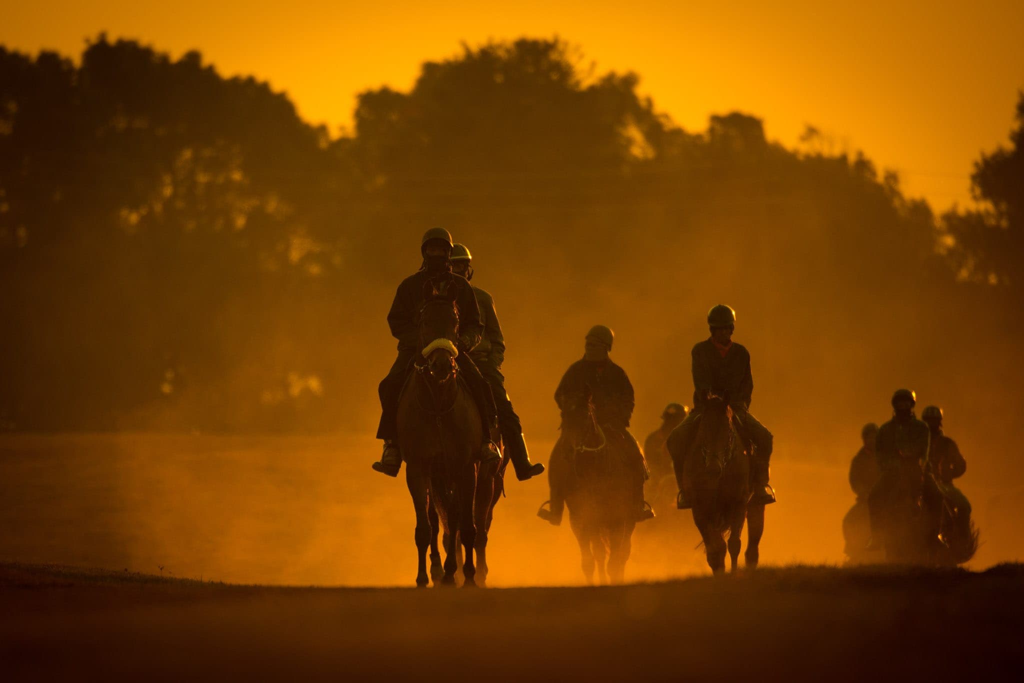 Summerveld, Trackwork, South Africa — Beach & Trackwork photograph by Sharon Lee Chapman