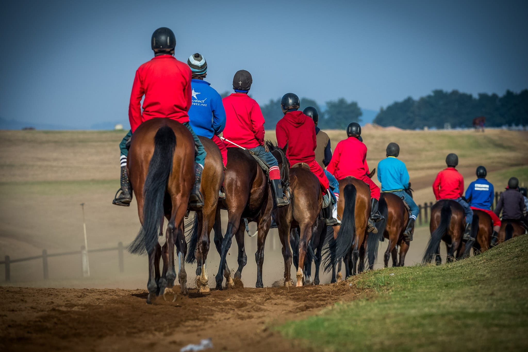 Summerveld, Trackwork, South Africa — Beach & Trackwork photograph by Sharon Lee Chapman