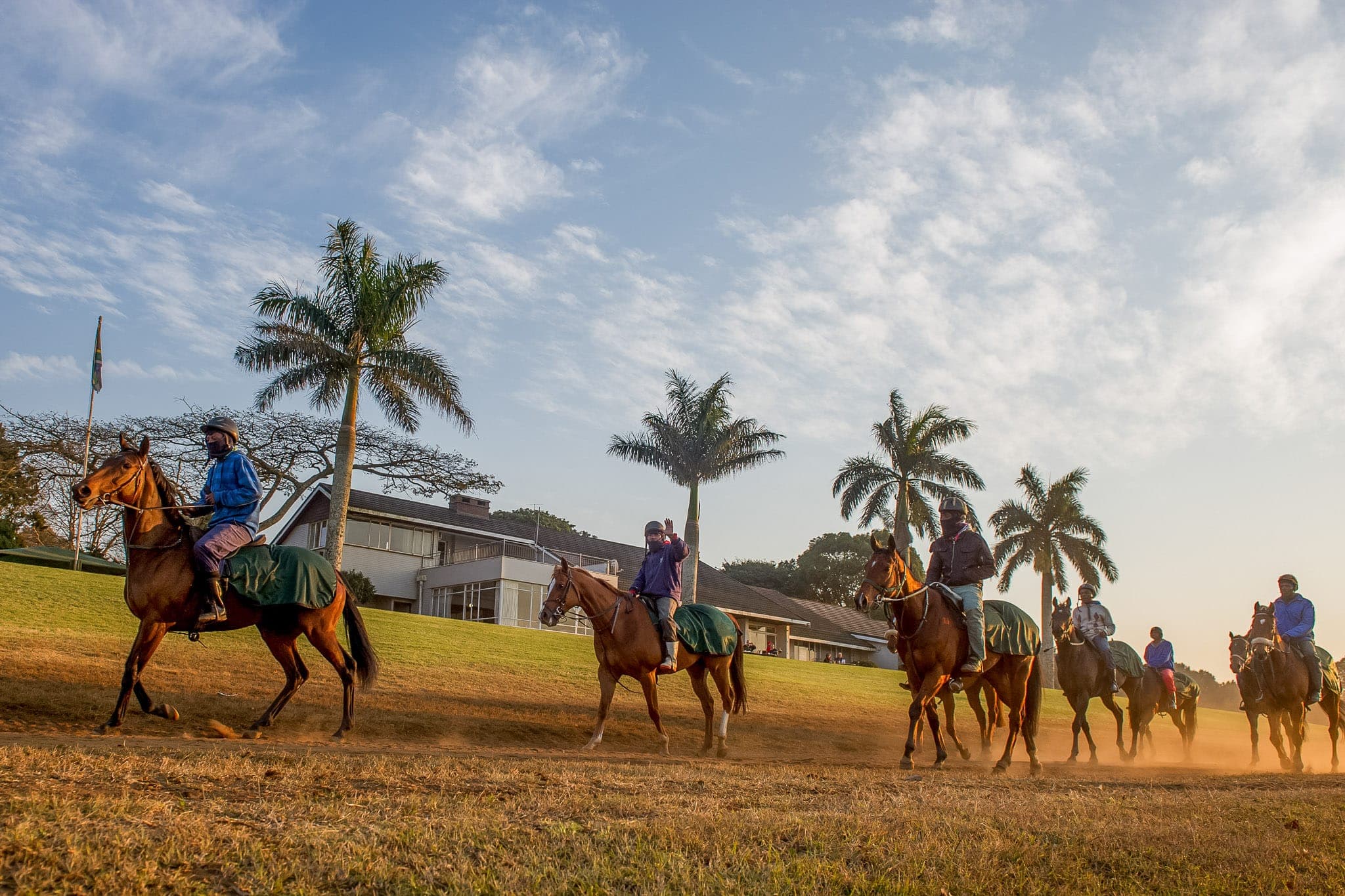Summerveld, Trackwork, South Africa — Beach & Trackwork photograph by Sharon Lee Chapman