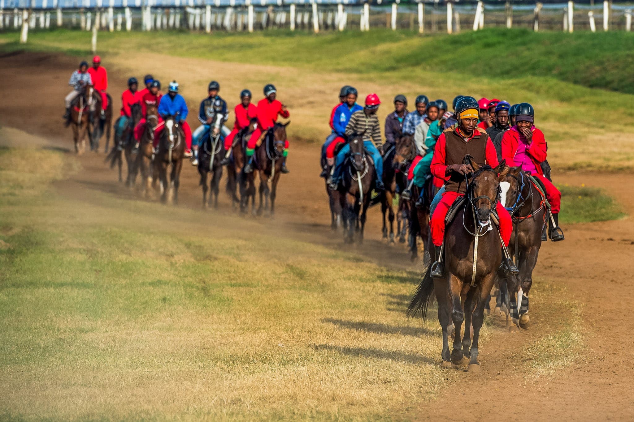 Summerveld, Trackwork, South Africa — Beach & Trackwork photograph by Sharon Lee Chapman