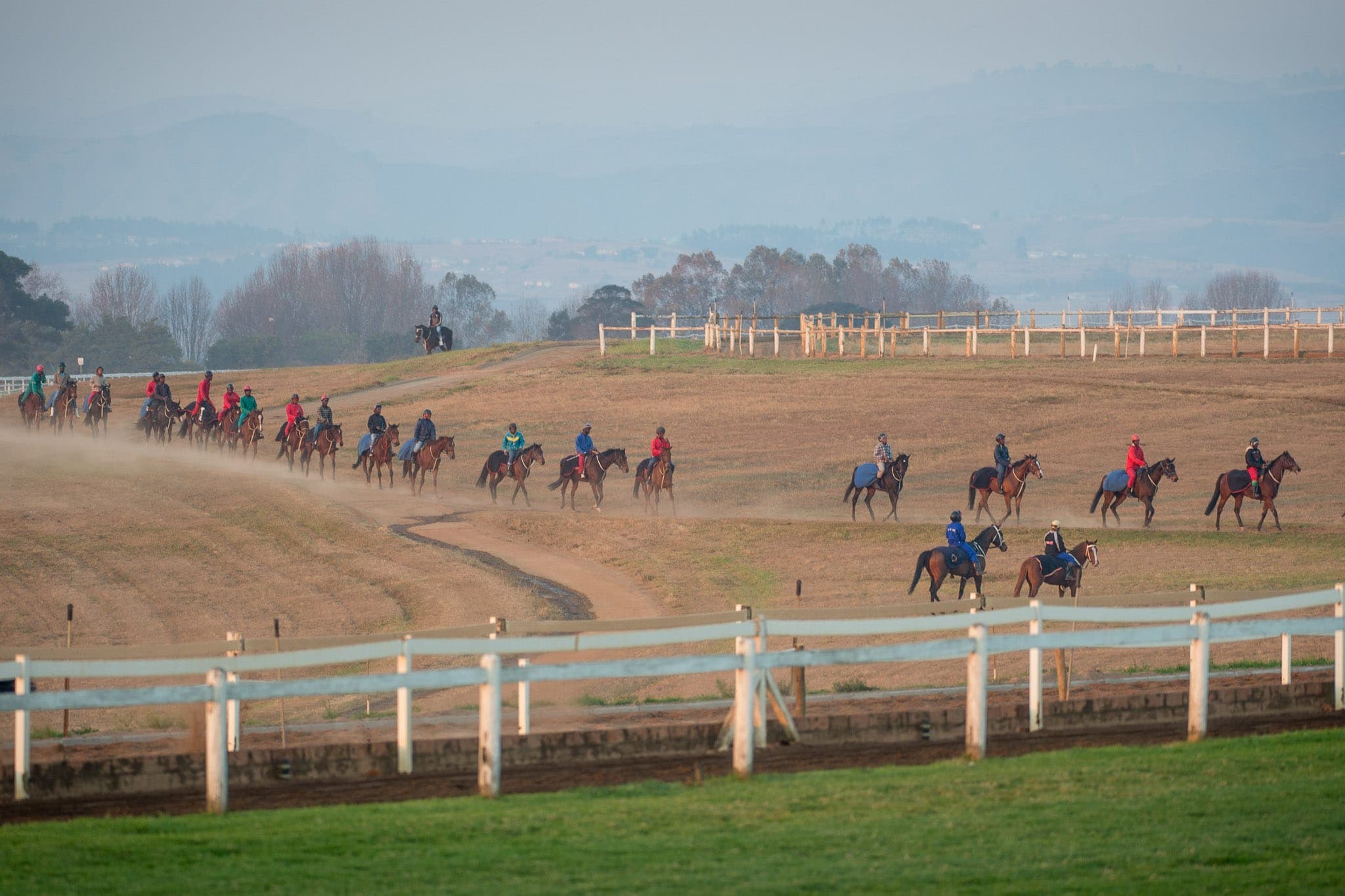 Summerveld, Trackwork, South Africa — Beach & Trackwork photograph by Sharon Lee Chapman