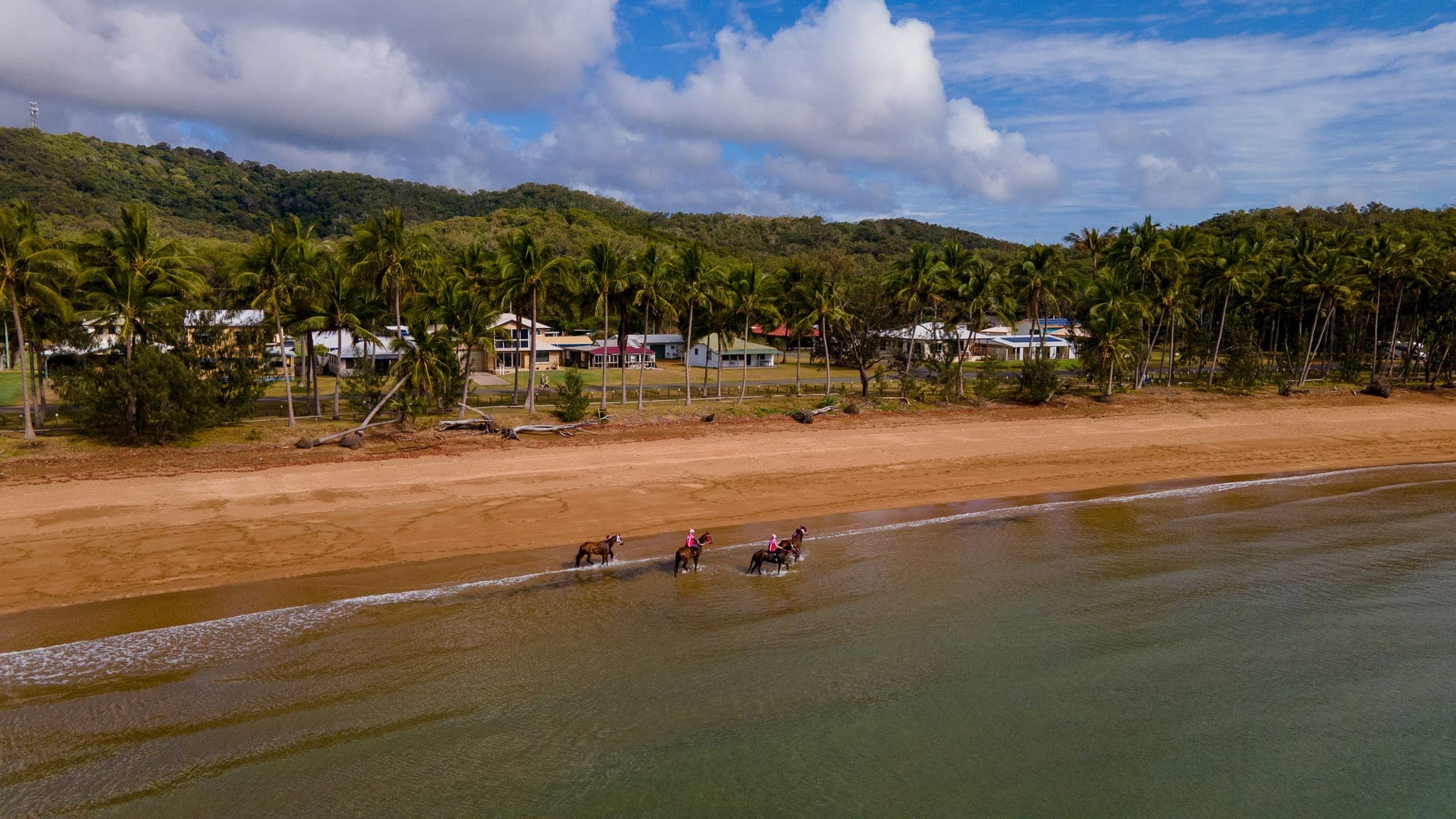 Trinity Bannon Racing, Aerial, Grasstree — Beach & Trackwork photograph by Sharon Lee Chapman