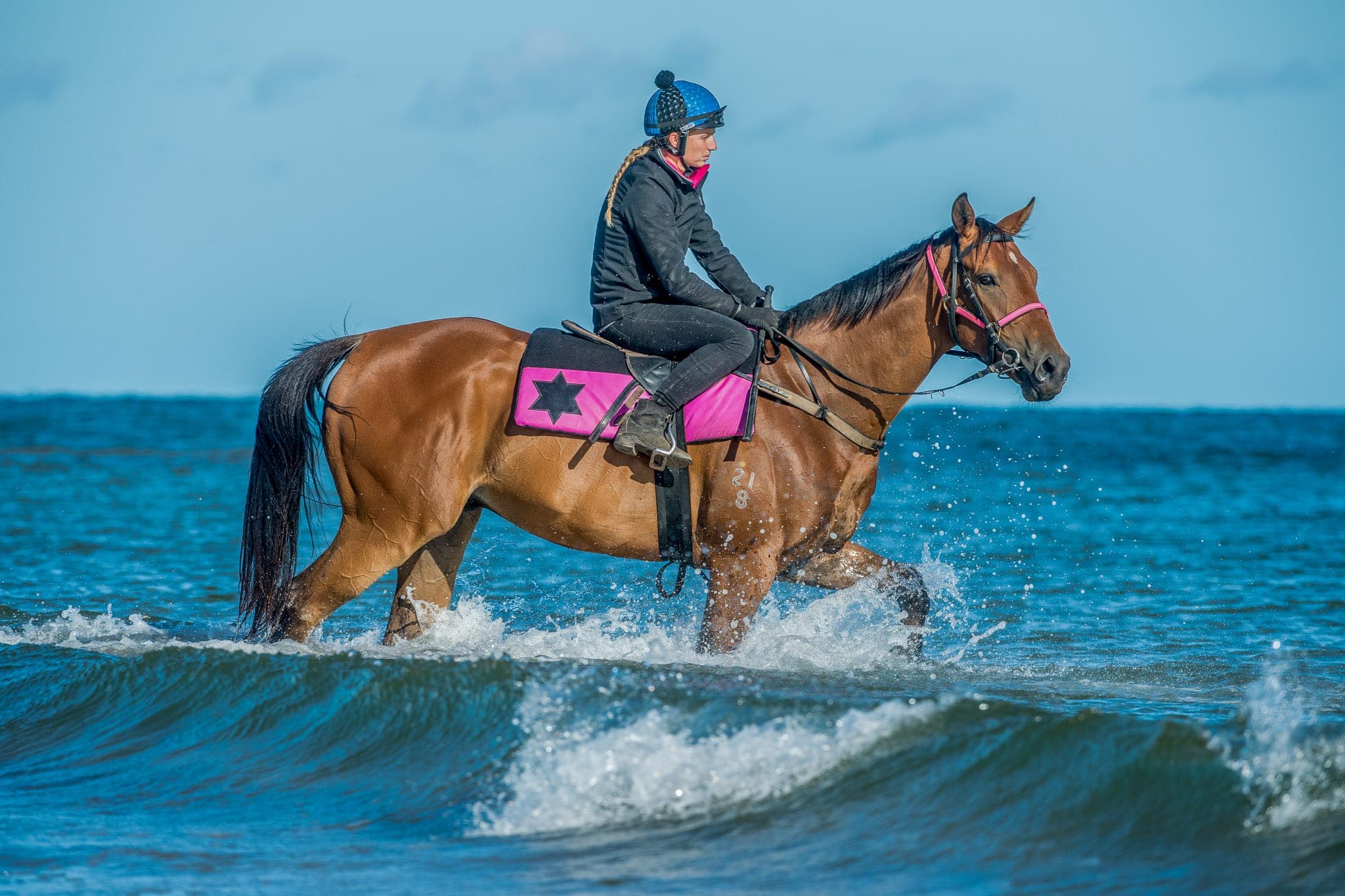 Turk Warrior, Glenn Stevenson, Devonport — Beach & Trackwork photograph by Sharon Lee Chapman