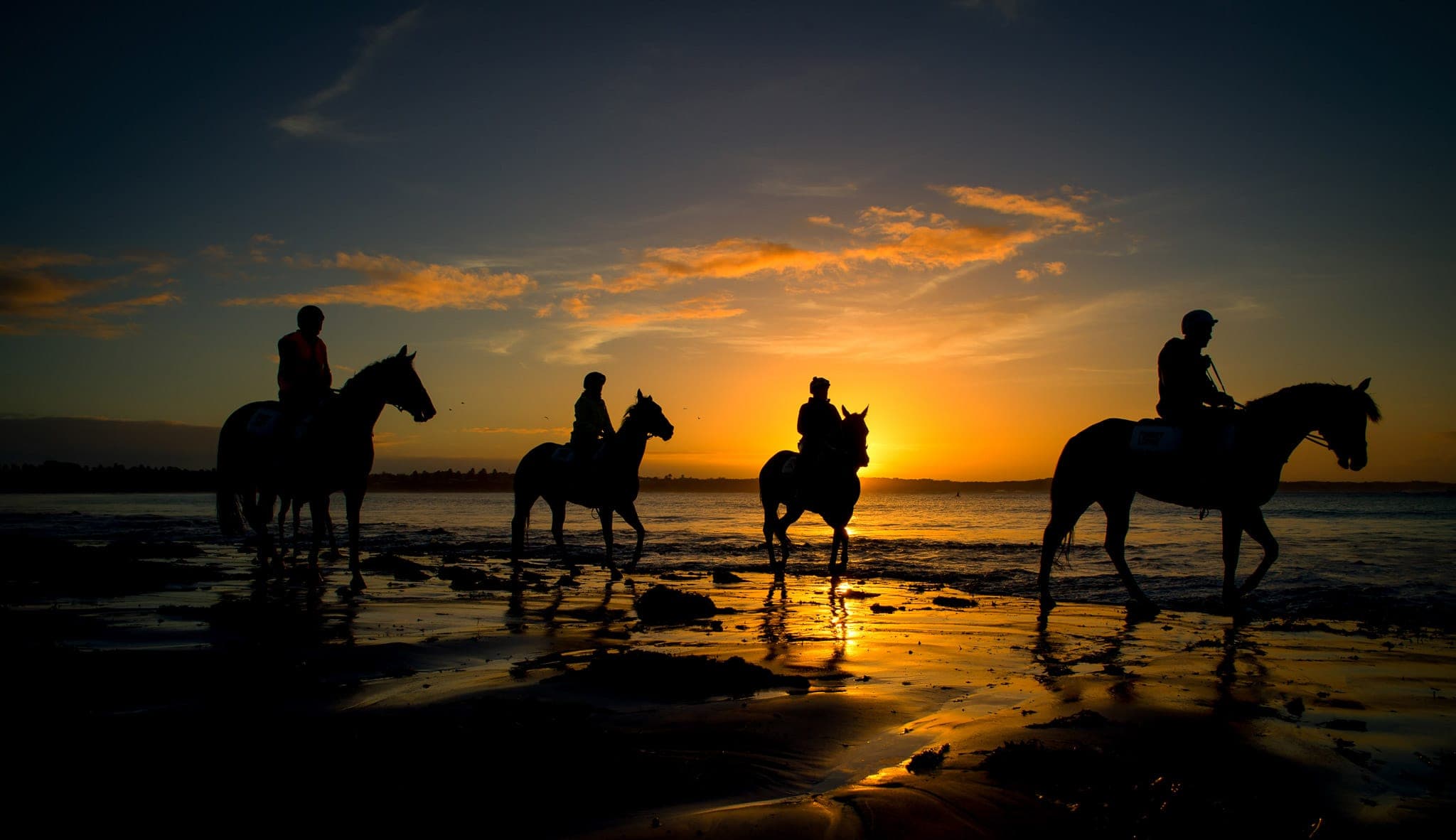 Warrnambool Beach — Beach & Trackwork photograph by Sharon Lee Chapman