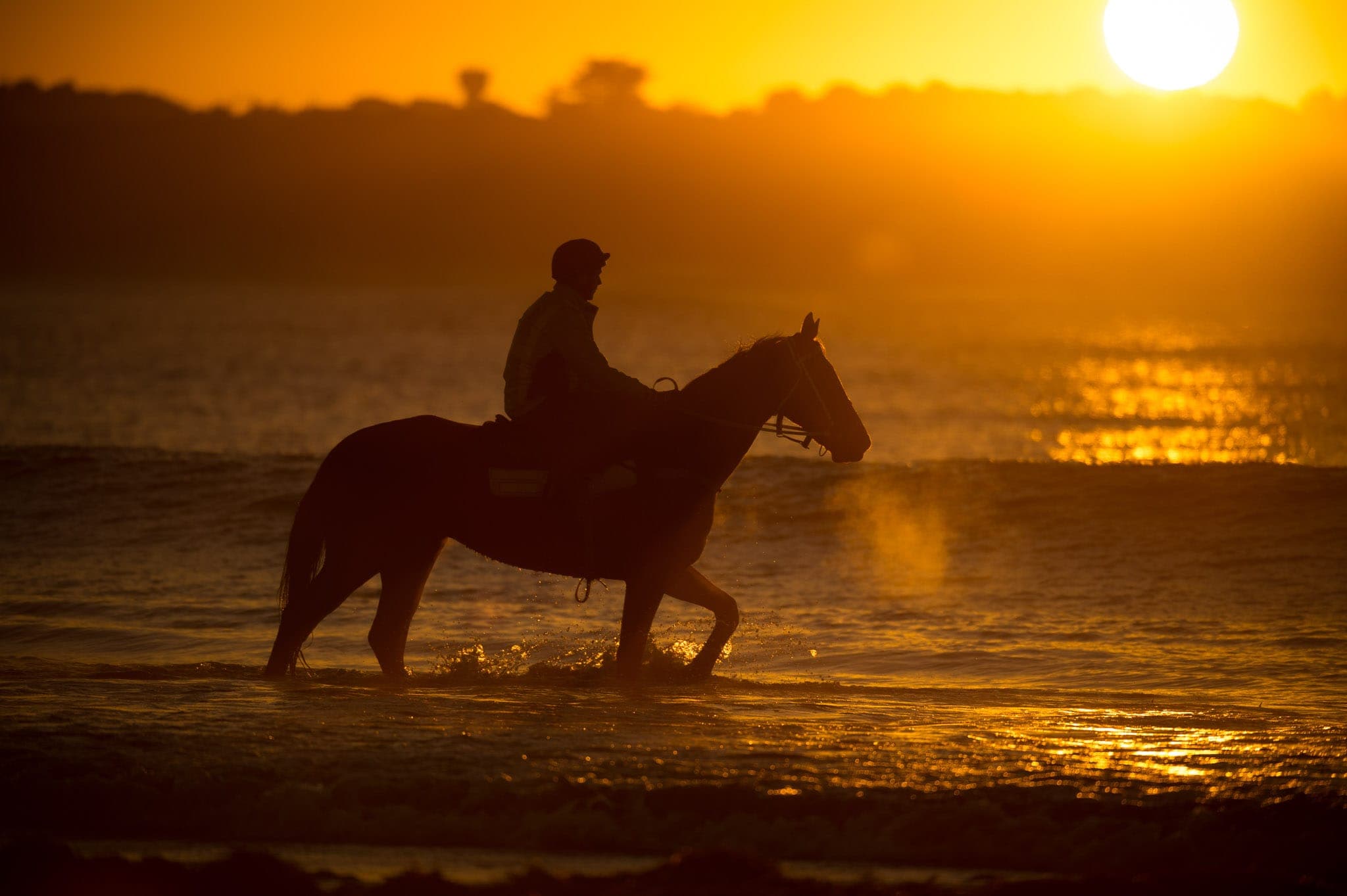 Warrnambool Beach — Beach & Trackwork photograph by Sharon Lee Chapman