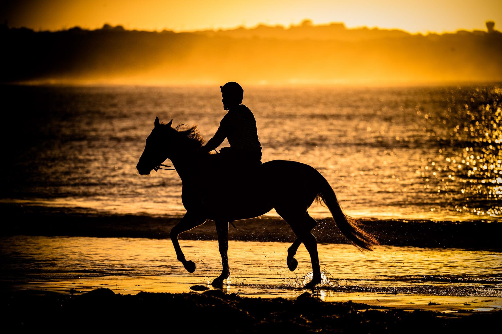 Warrnambool Beach — Beach & Trackwork photograph by Sharon Lee Chapman