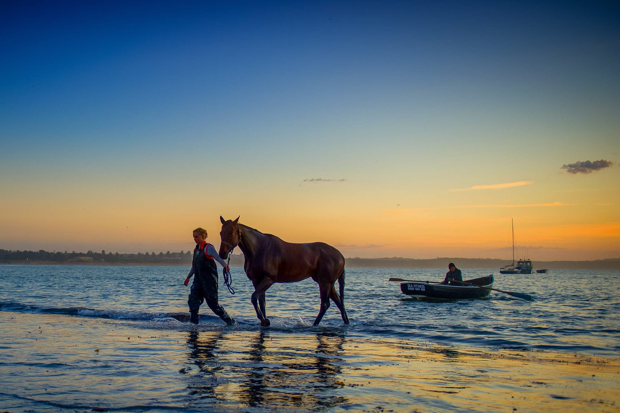Warrnambool Beach — Beach & Trackwork photograph by Sharon Lee Chapman
