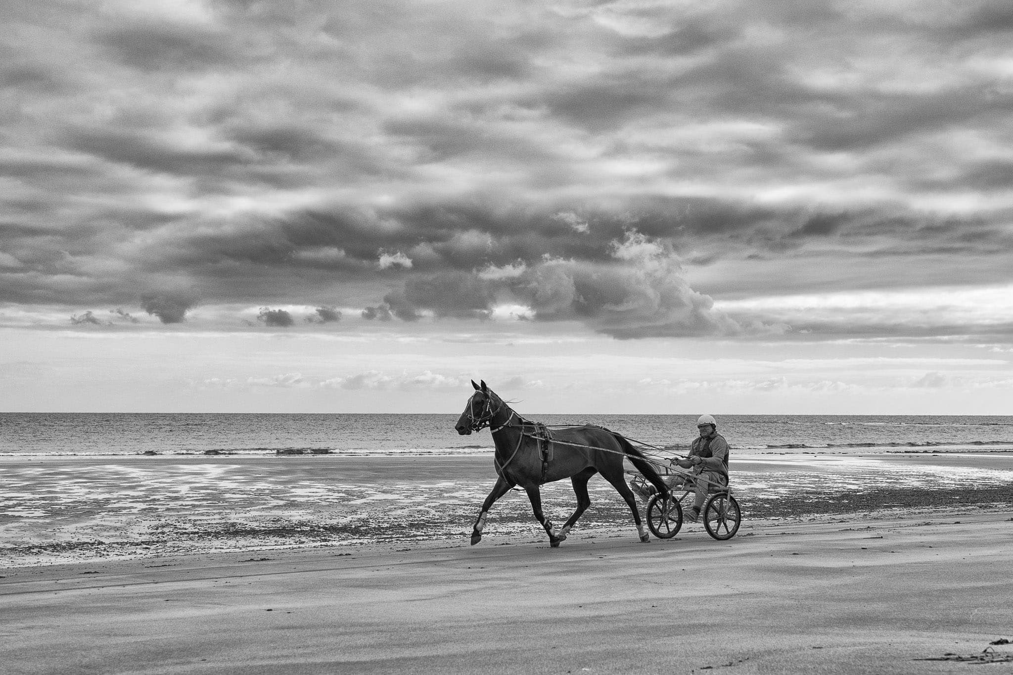 Weownamasterpiece, Ian Kent, Devonport — Beach & Trackwork photograph by Sharon Lee Chapman
