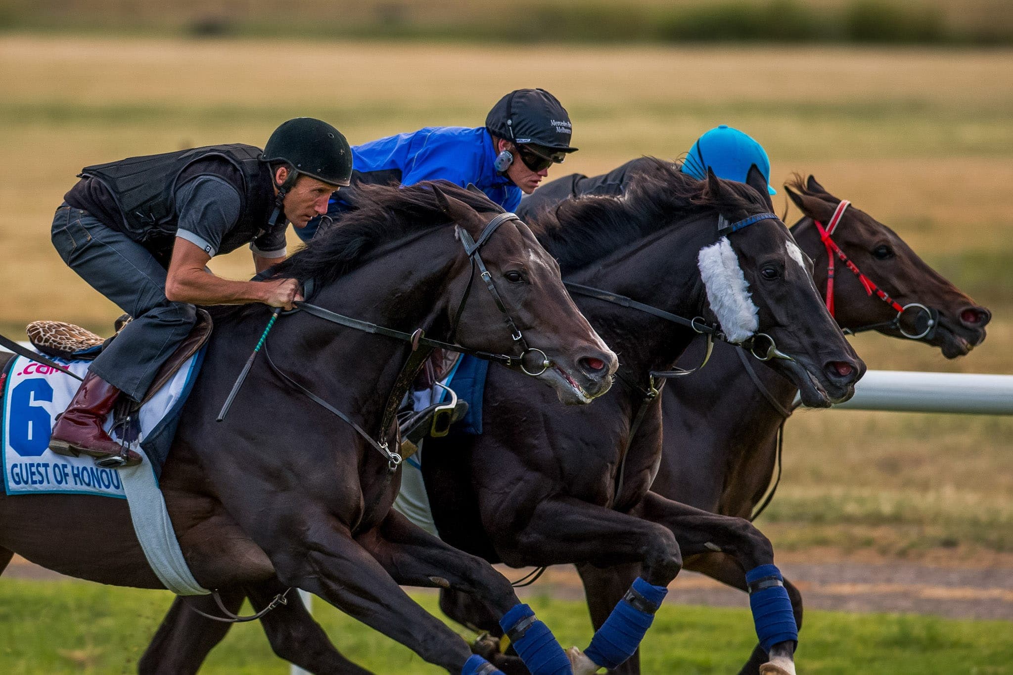 Werribee, Trackwork — Beach & Trackwork photograph by Sharon Lee Chapman