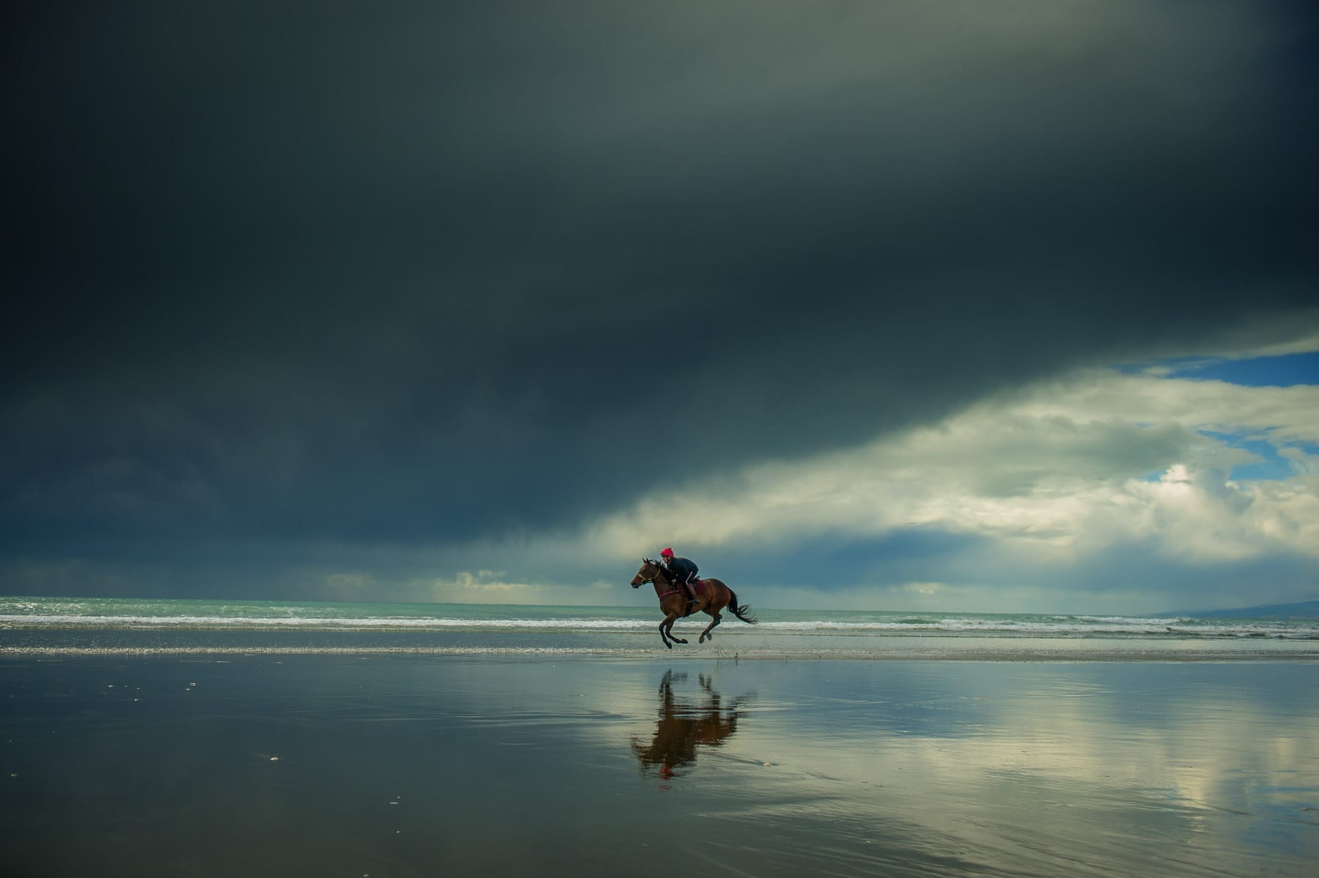 Beach, The Storm, NZ — equine photograph by Sharon Lee Chapman