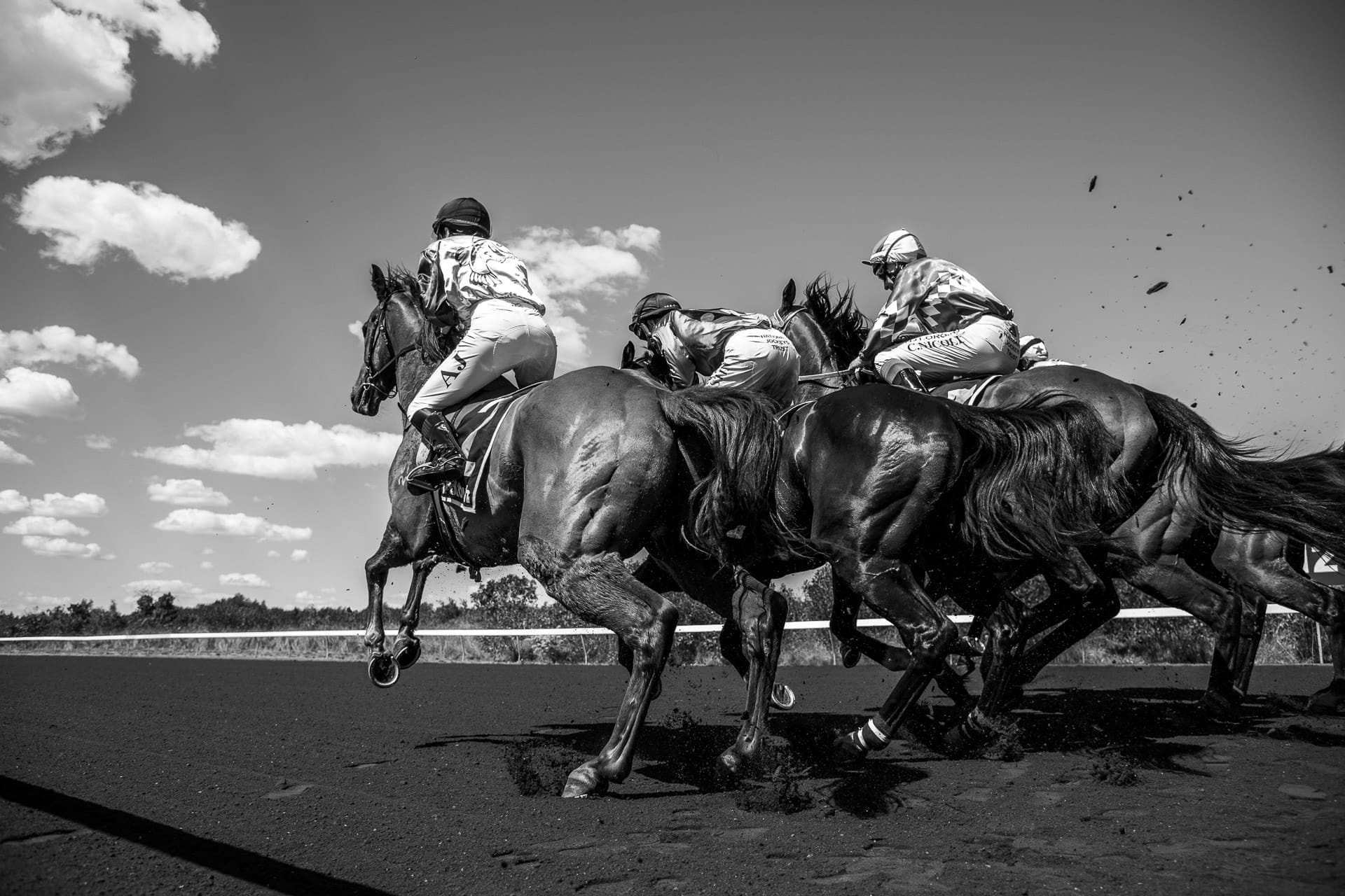Race 1, Starting Gate, Field, Broome — equine photograph by Sharon Lee Chapman