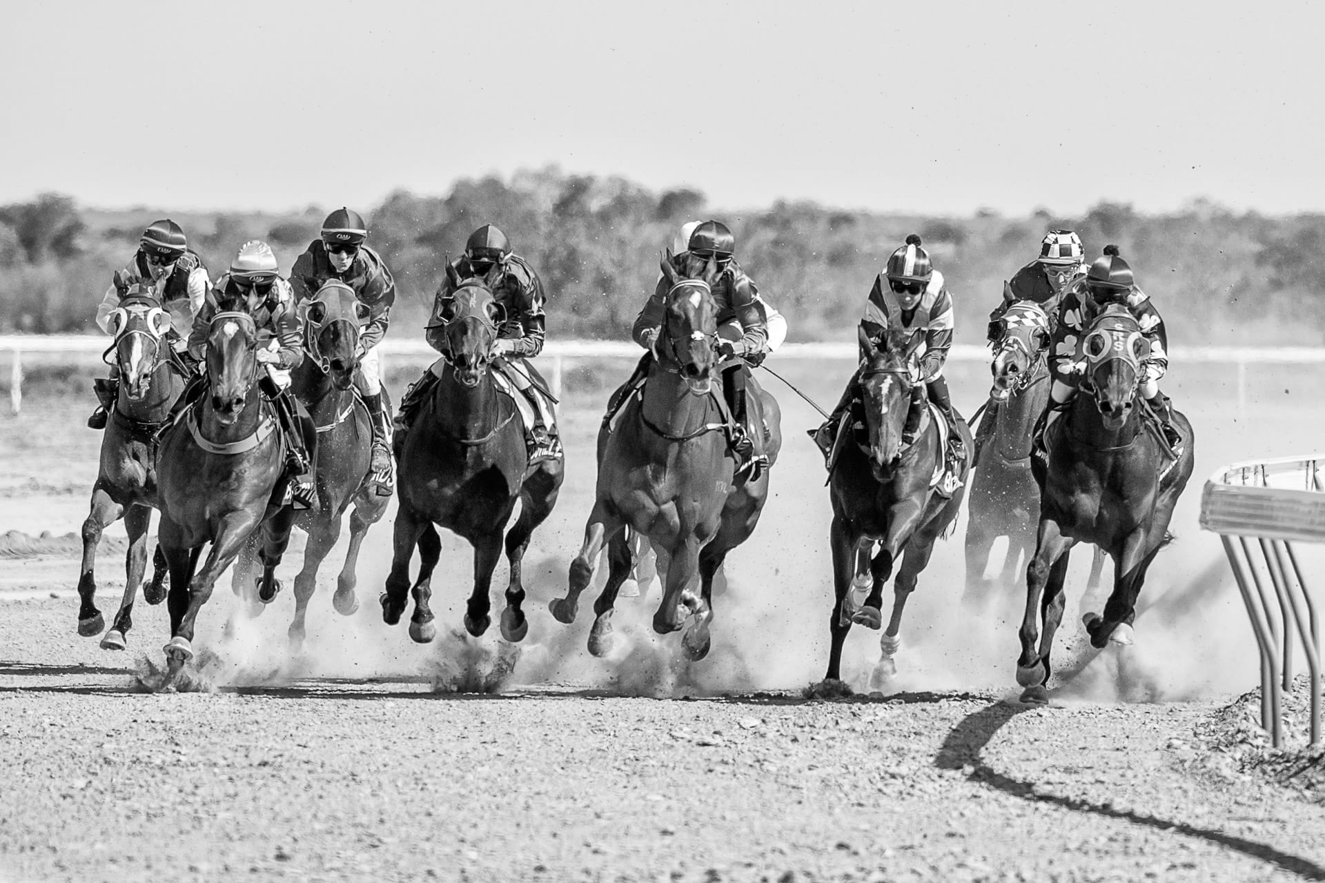 Racing, Birdsville II — equine photograph by Sharon Lee Chapman