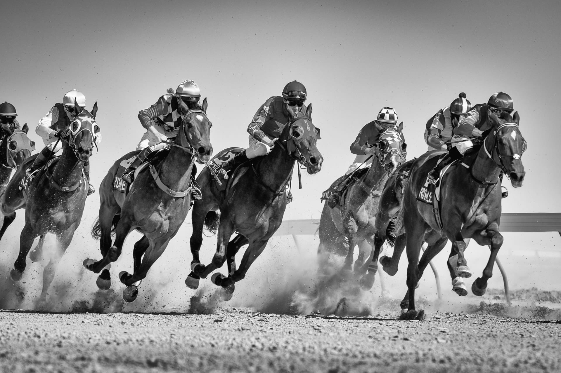 Racing, Birdsville III — equine photograph by Sharon Lee Chapman