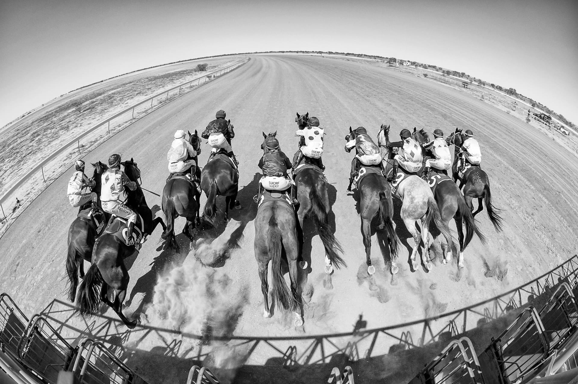 Racing, Birdsville, Bird's Eye — equine photograph by Sharon Lee Chapman