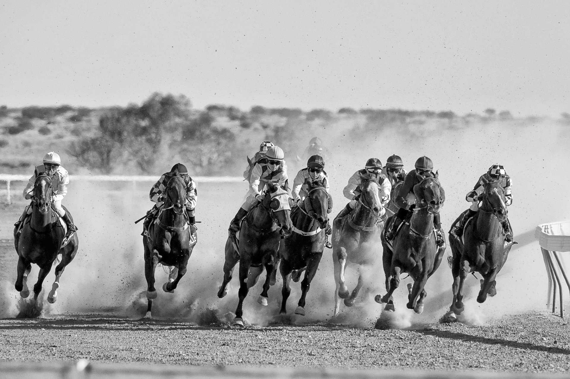 Racing, Birdsville, Home Turn — equine photograph by Sharon Lee Chapman
