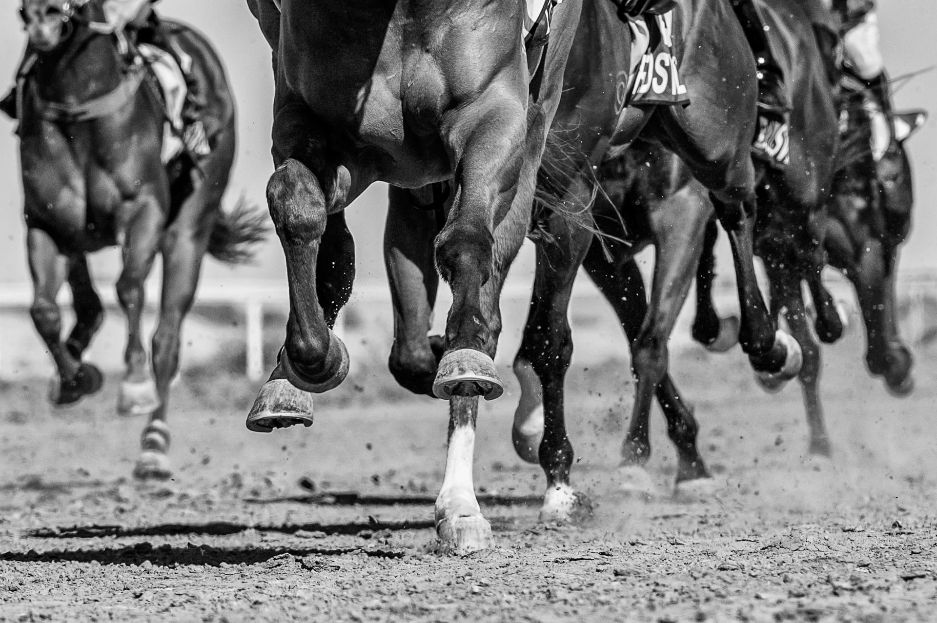 Racing, Birdsville, The Hooves — equine photograph by Sharon Lee Chapman
