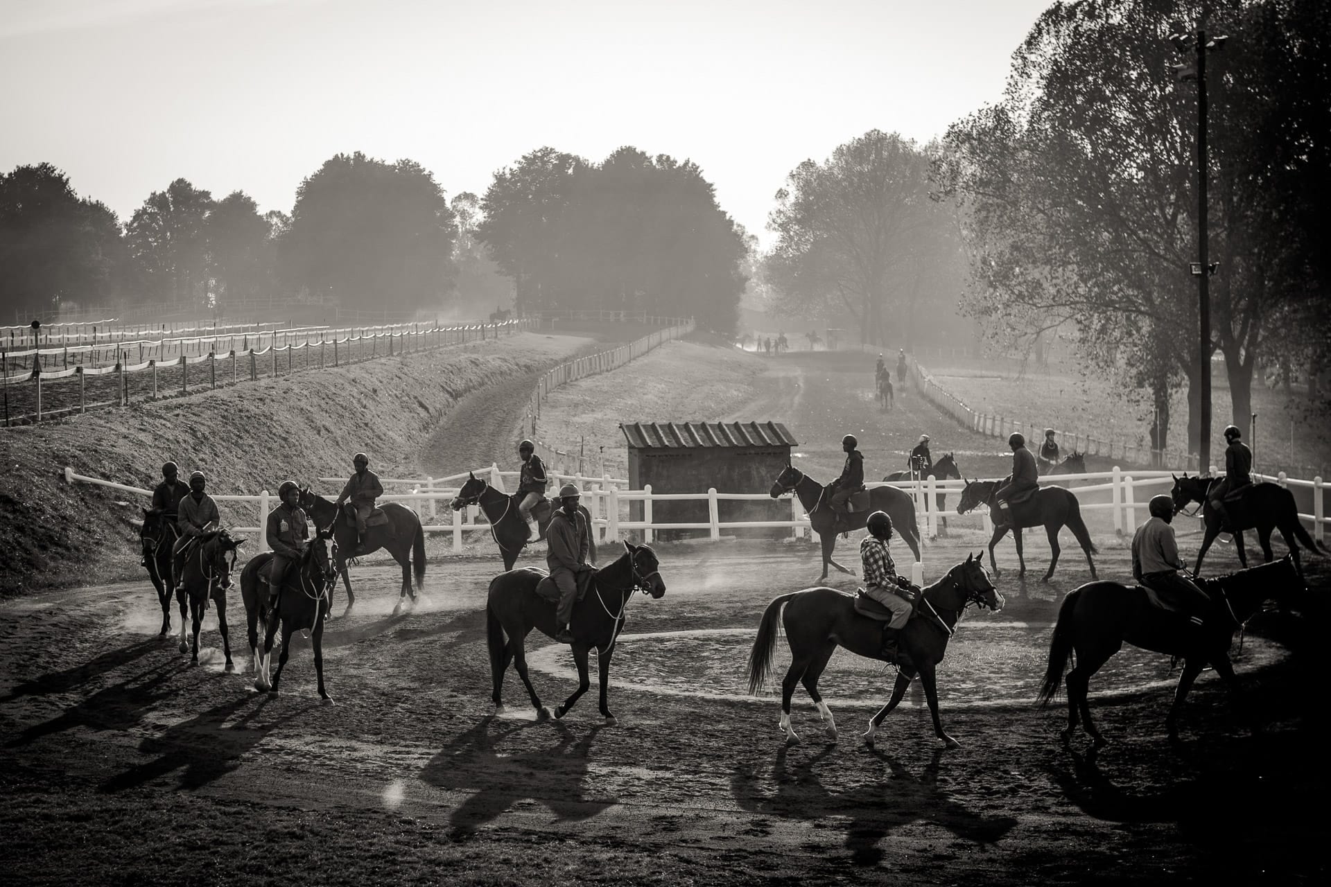 Summerveld — equine photograph by Sharon Lee Chapman