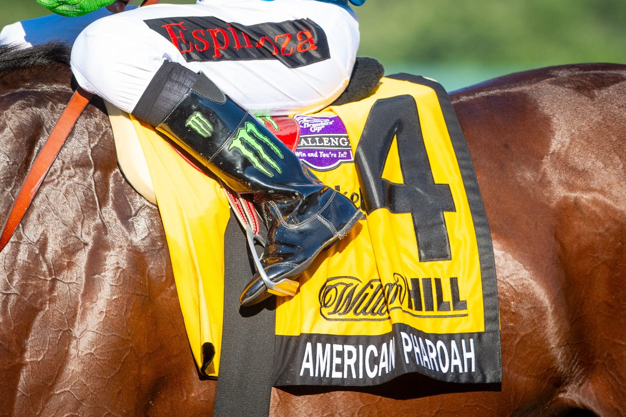American Pharoah, Haskell Invitational — Racing photograph by Sharon Lee Chapman