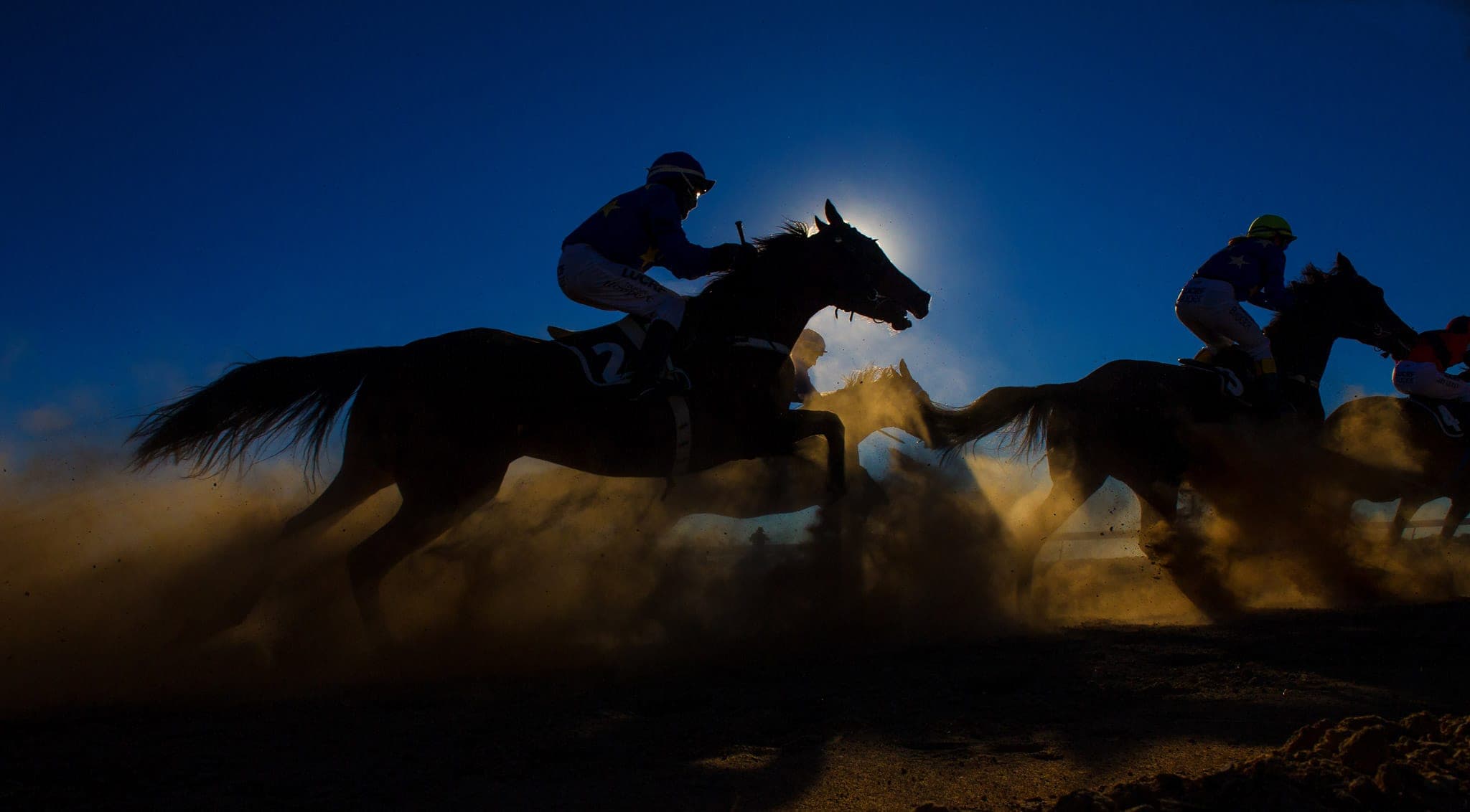 Betoota, Race 6 — Racing photograph by Sharon Lee Chapman