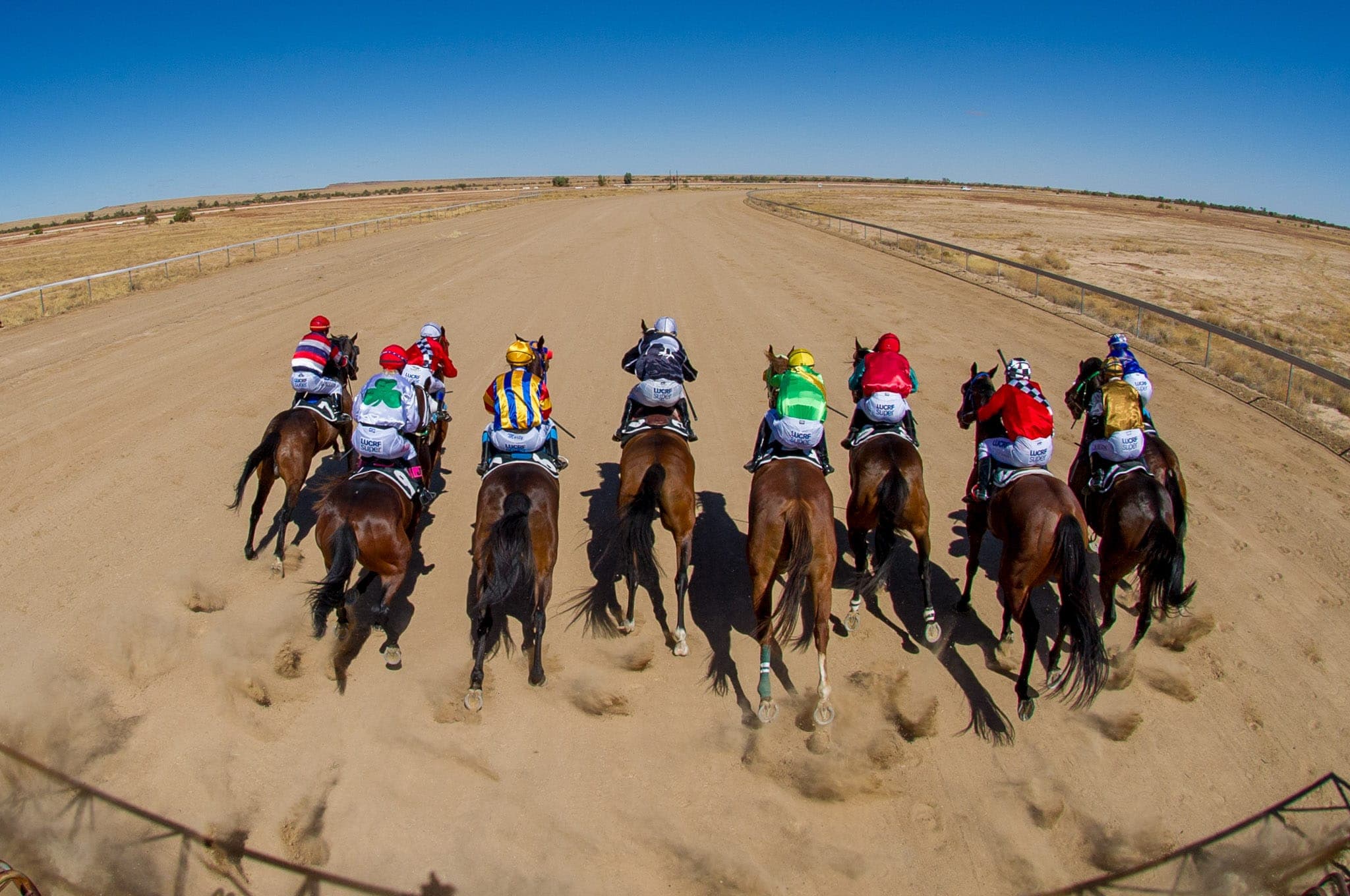 Betoota Starting Gate — Racing photograph by Sharon Lee Chapman