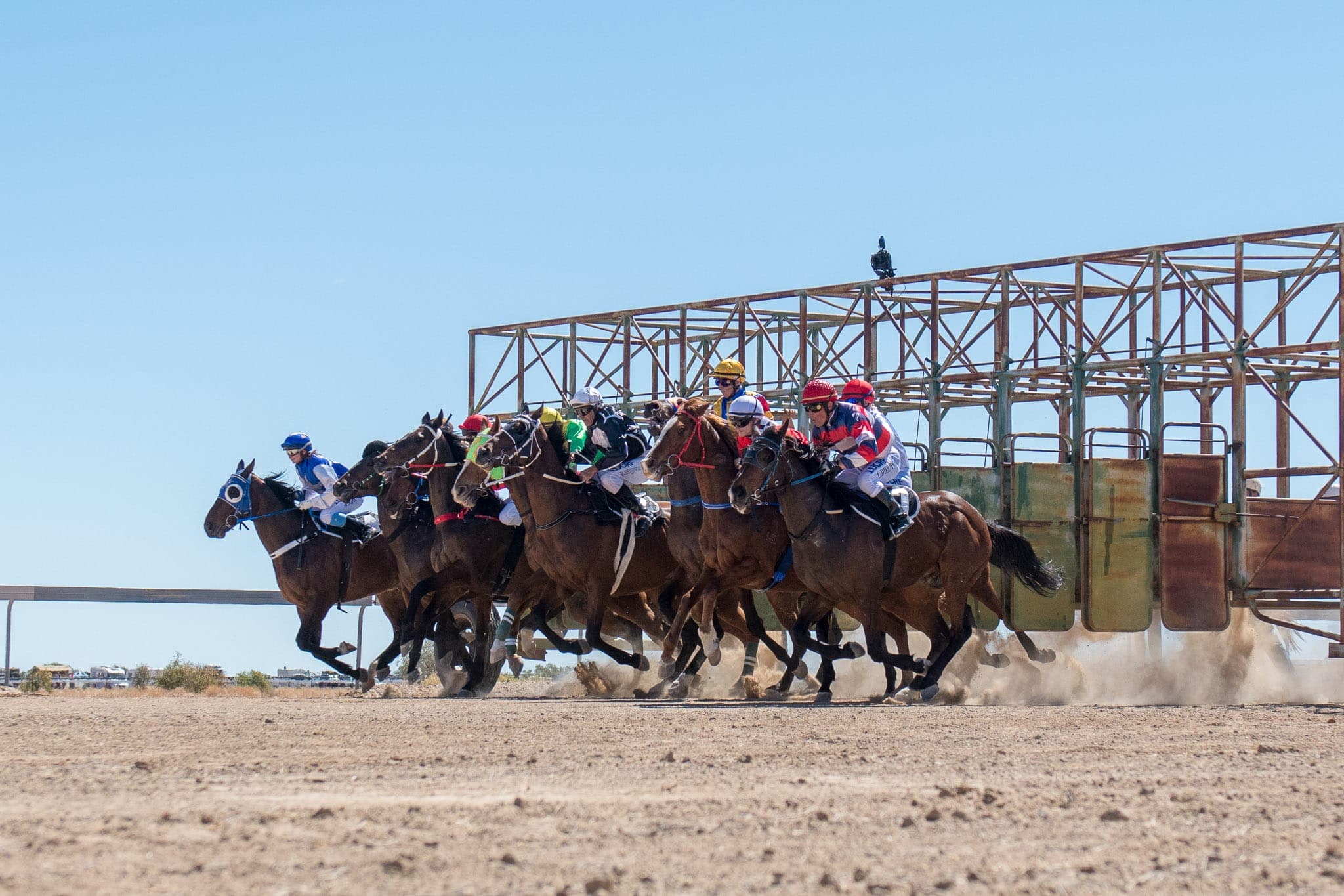 Betoota Starting Gate — Racing photograph by Sharon Lee Chapman